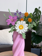Gerbera Garden