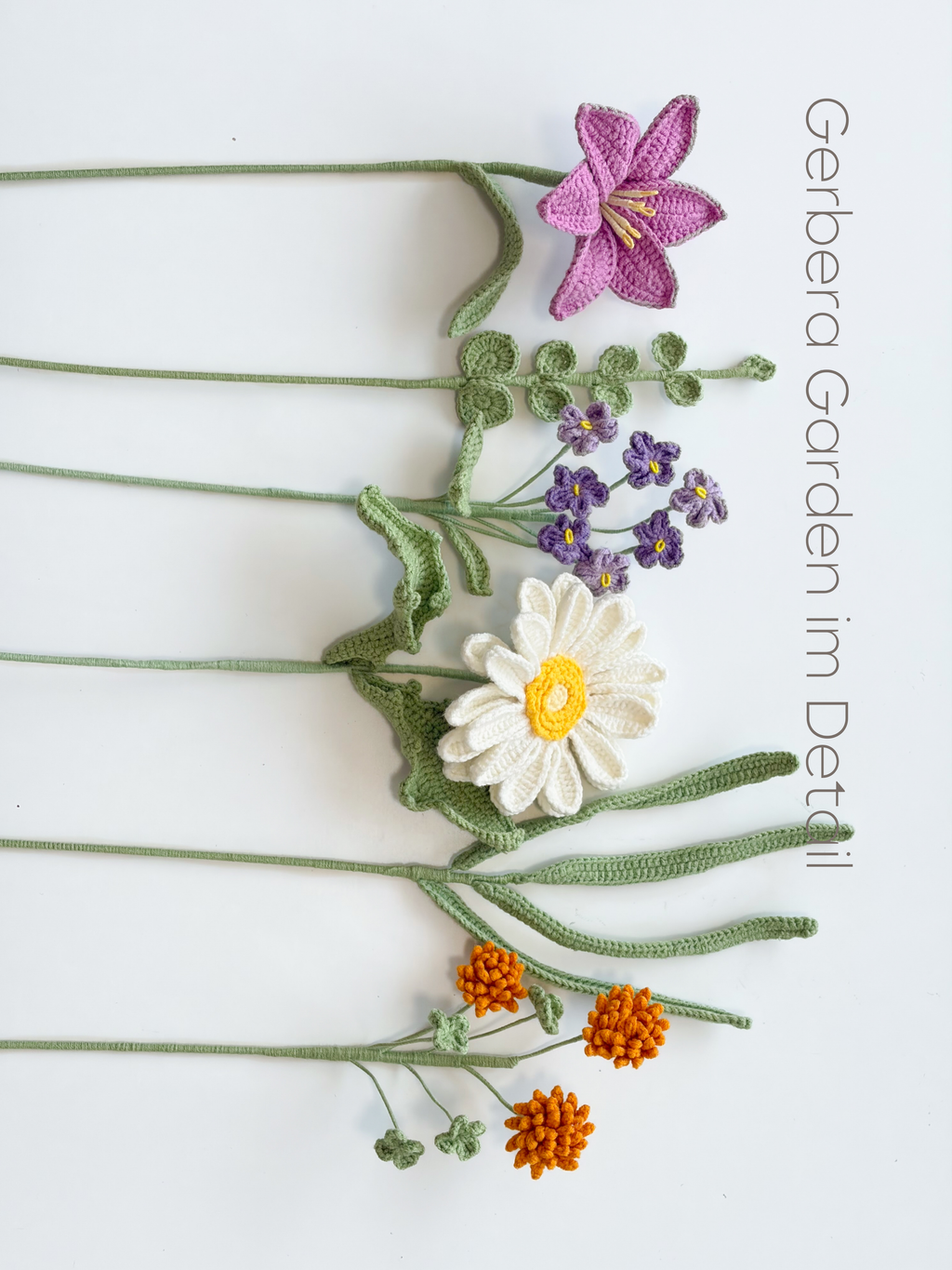 Gerbera Garden