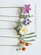 Gerbera Garden