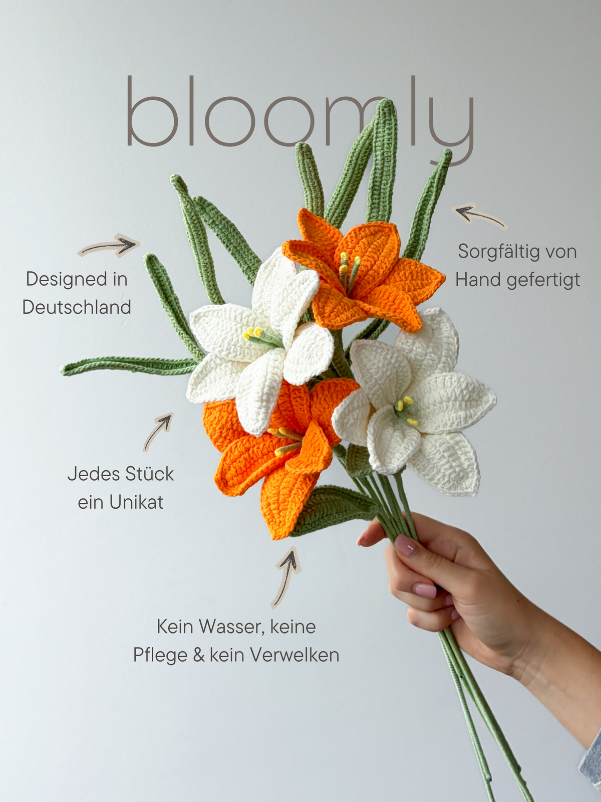 Lily Dream