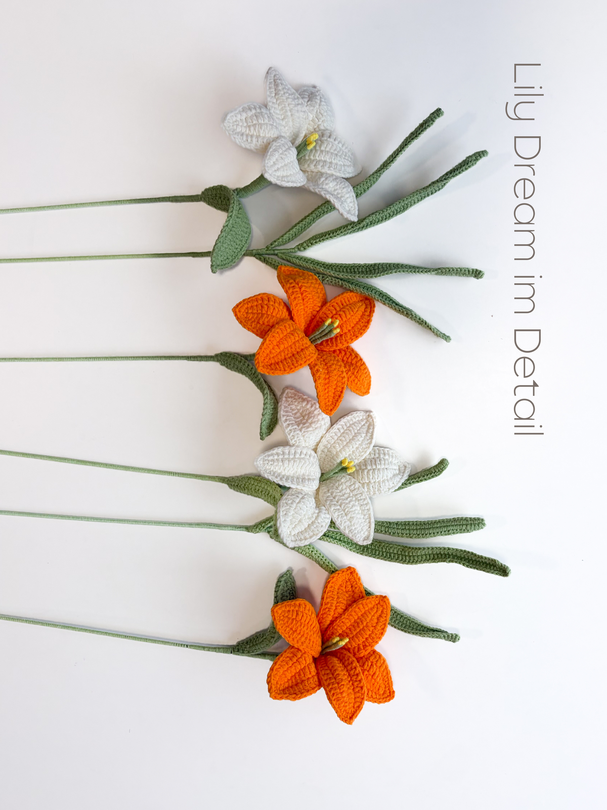 Lily Dream