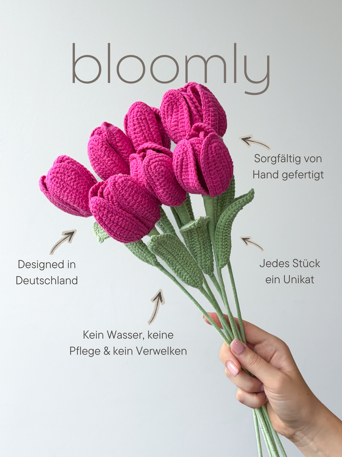Tulip Dream Pink