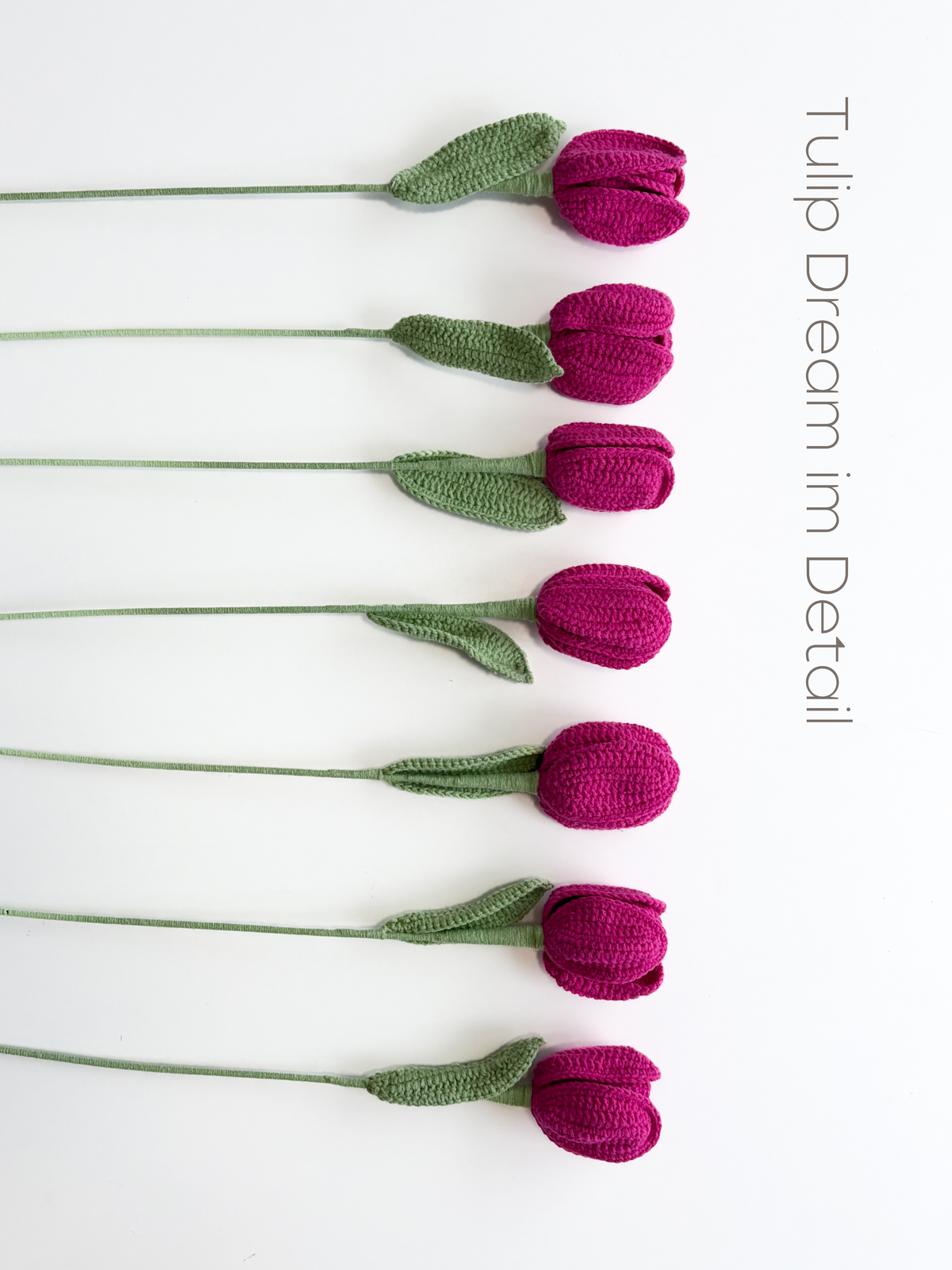 Tulip Dream Pink