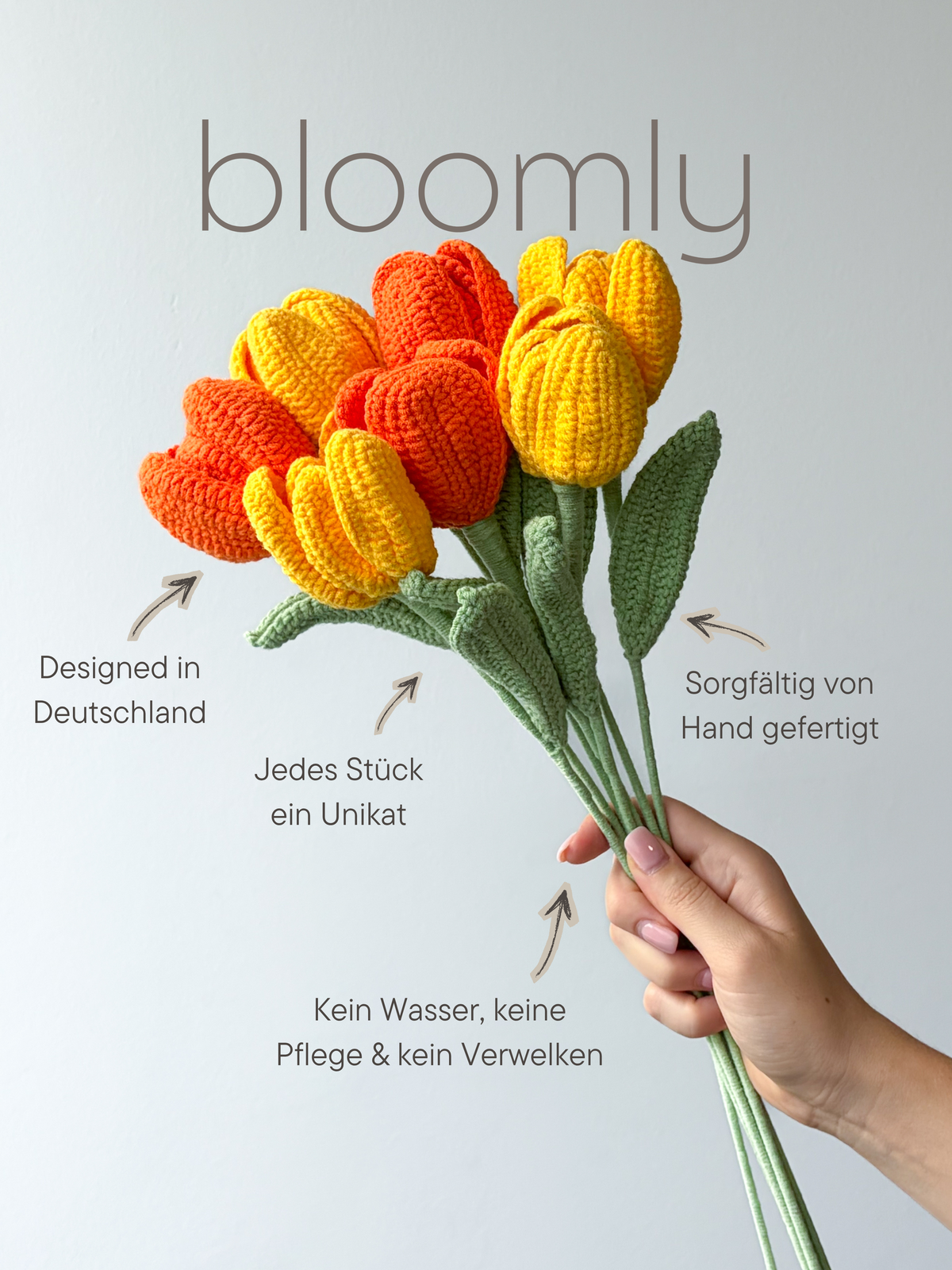 Tulip Dream Gelb / Orange