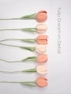 Tulip Dream