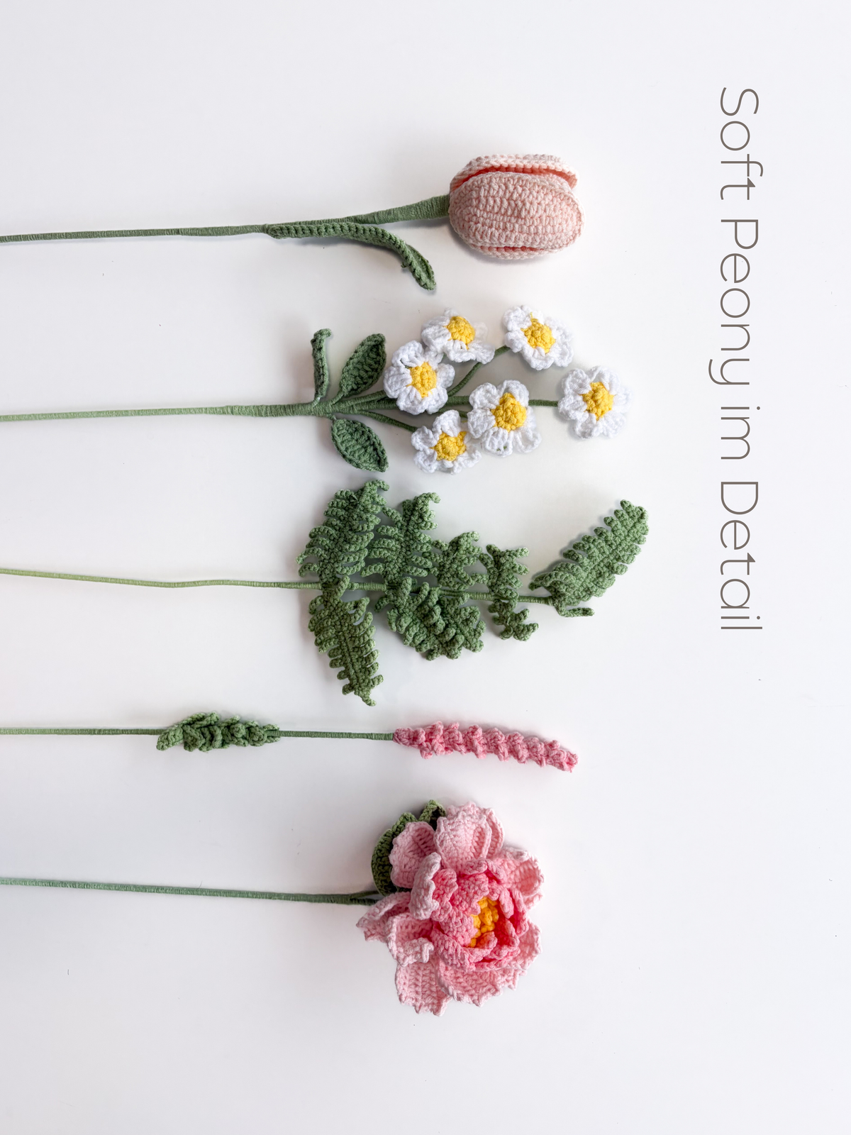 Soft Peony