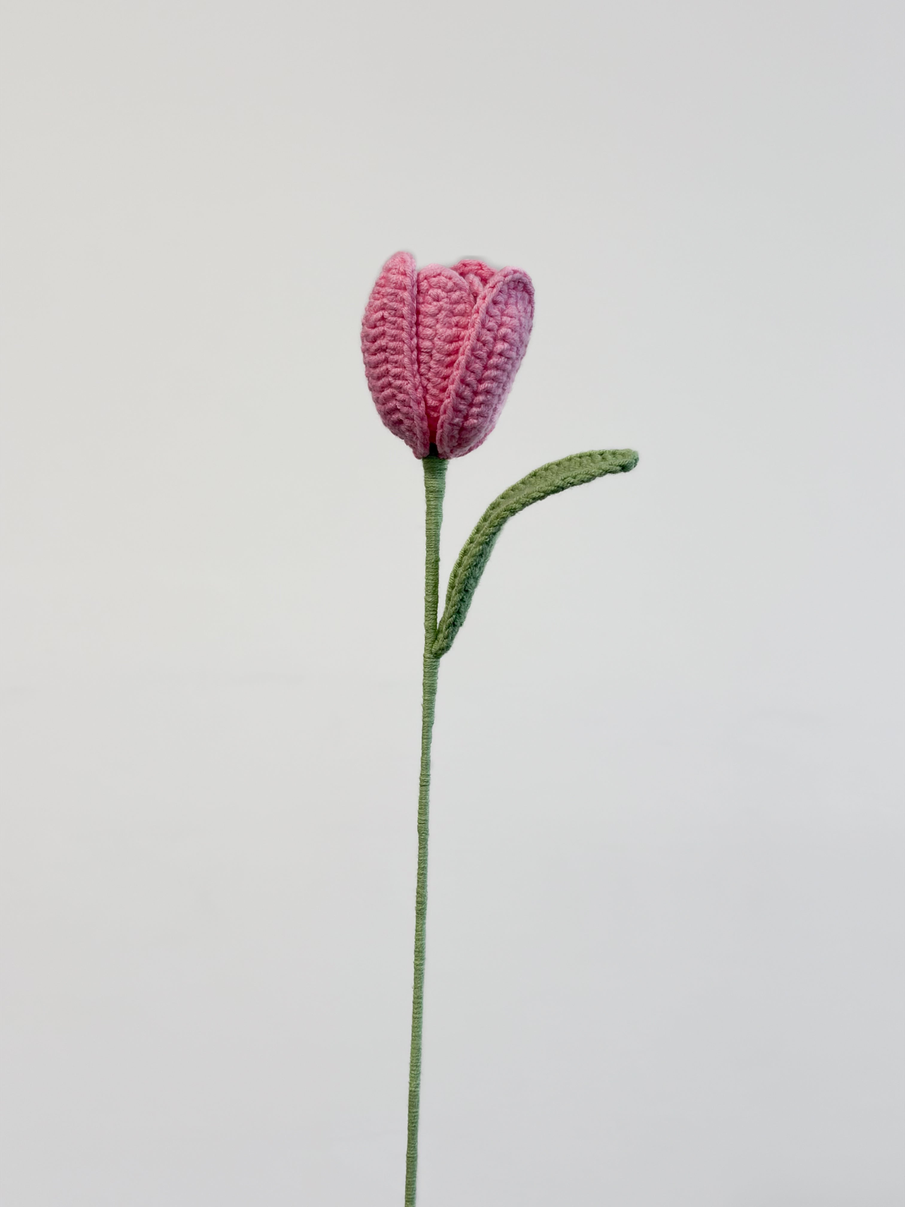 Kleine Tulpe - Pink