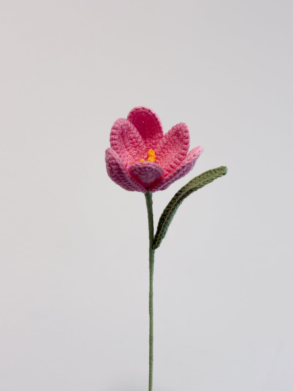 Kleine Tulpe - Pink