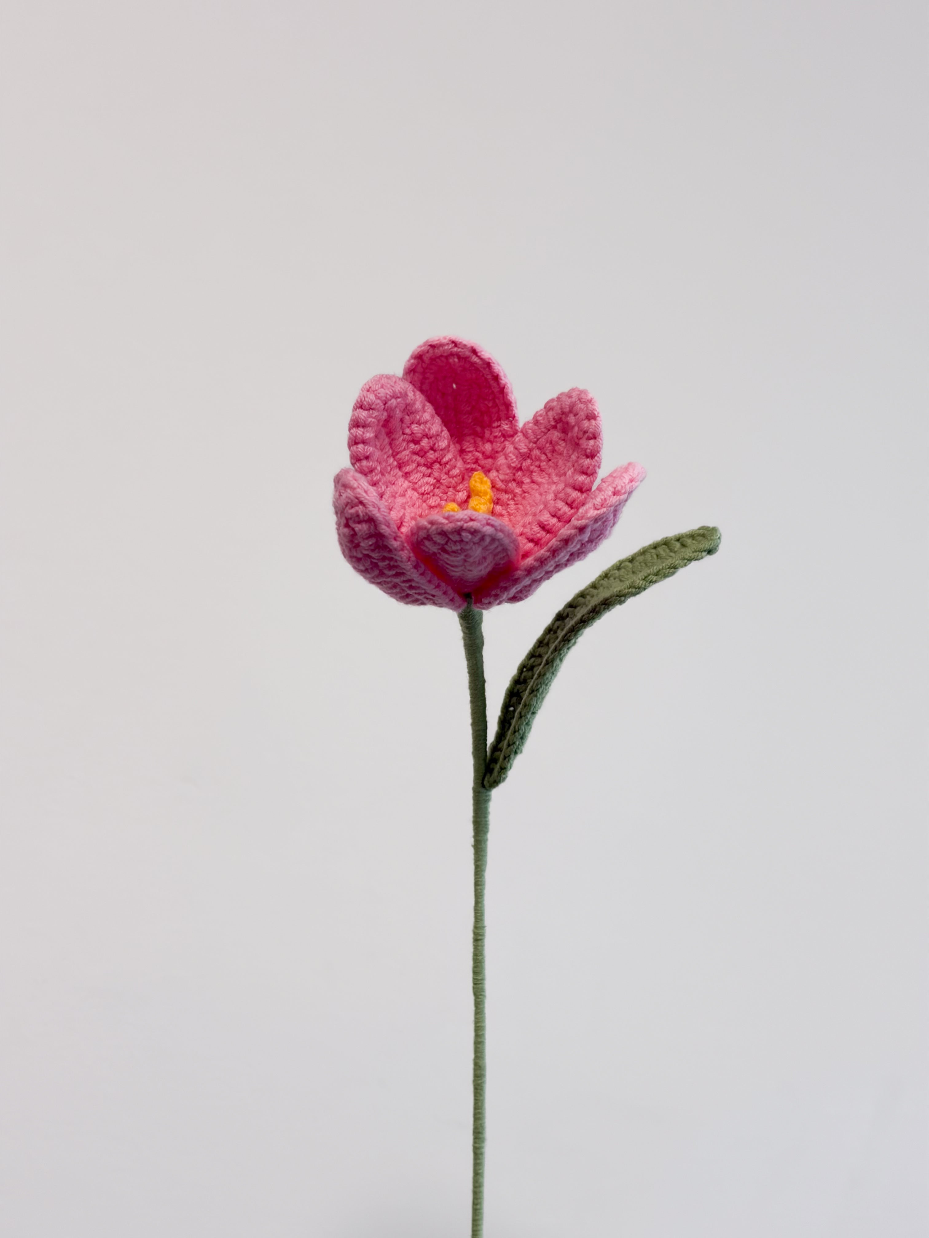 Kleine Tulpe - Pink