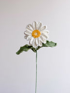 Gerbera - Weiß