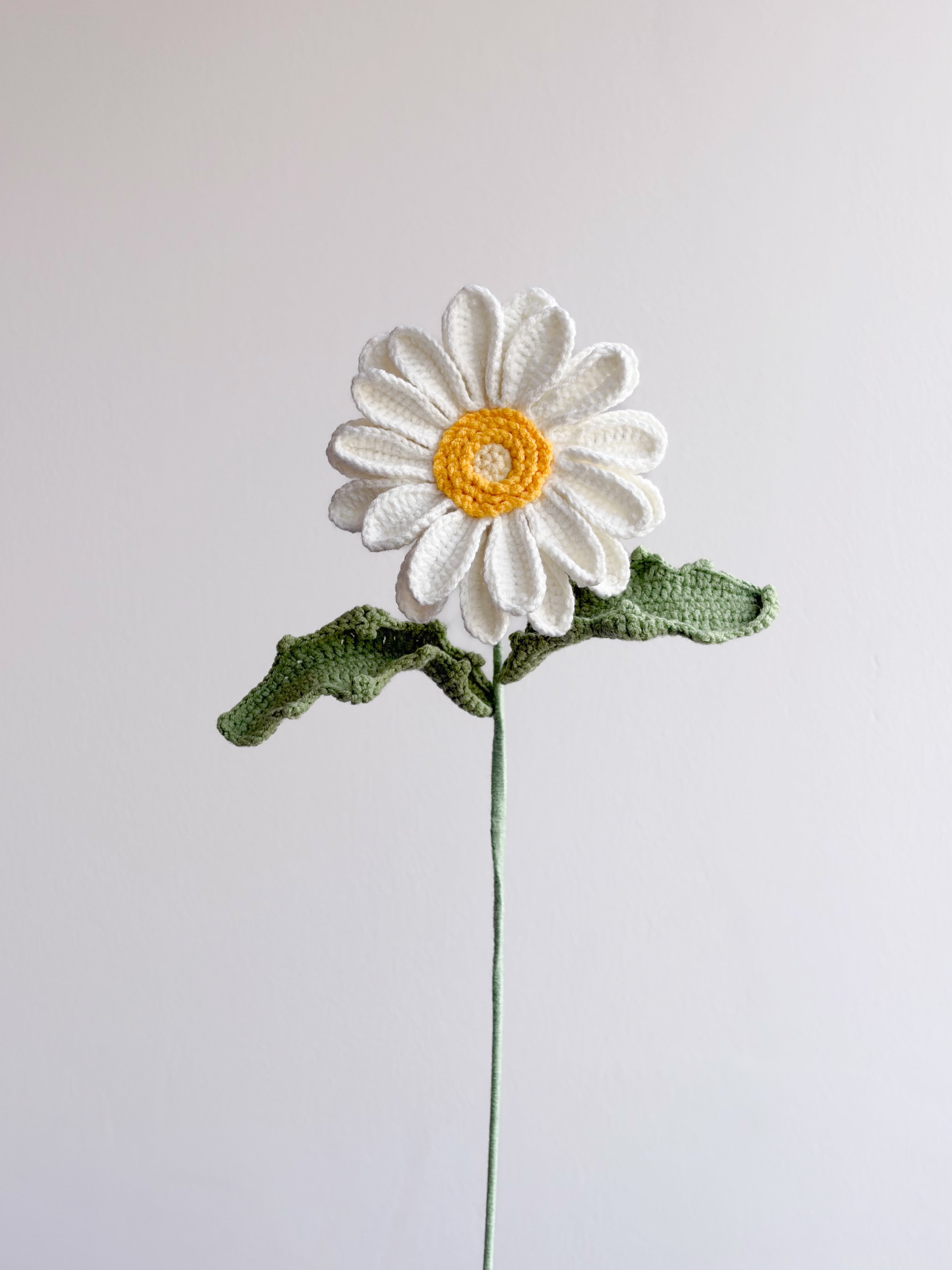 Gerbera - Weiß
