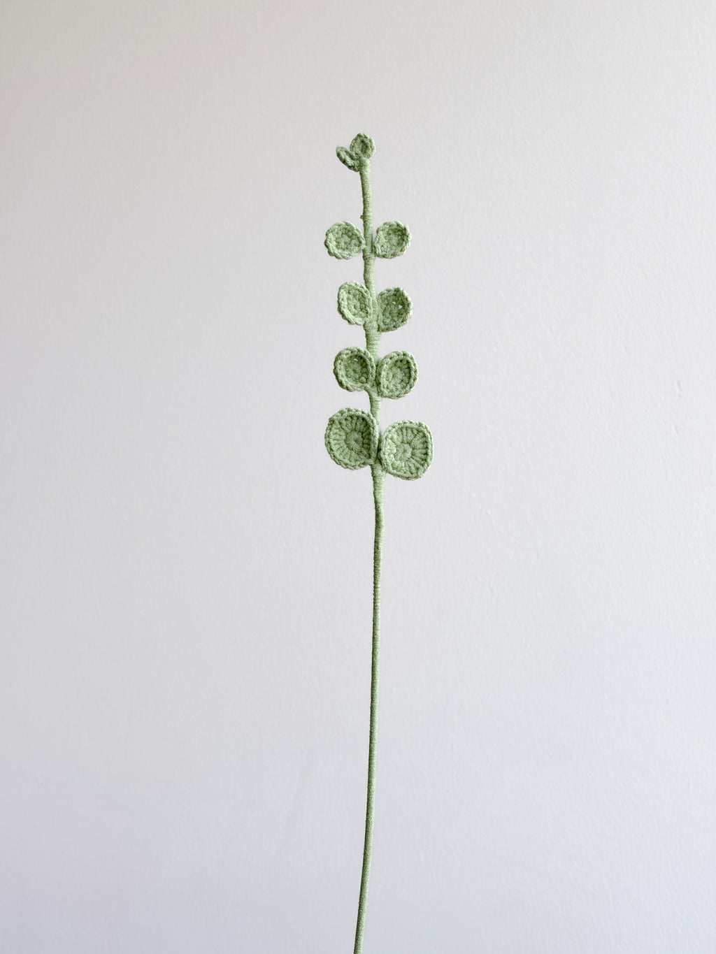 Eukalyptus - Grün