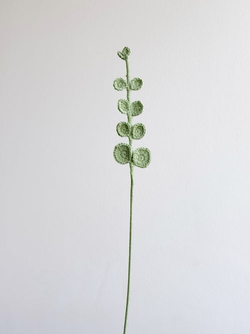 Eukalyptus - Grün