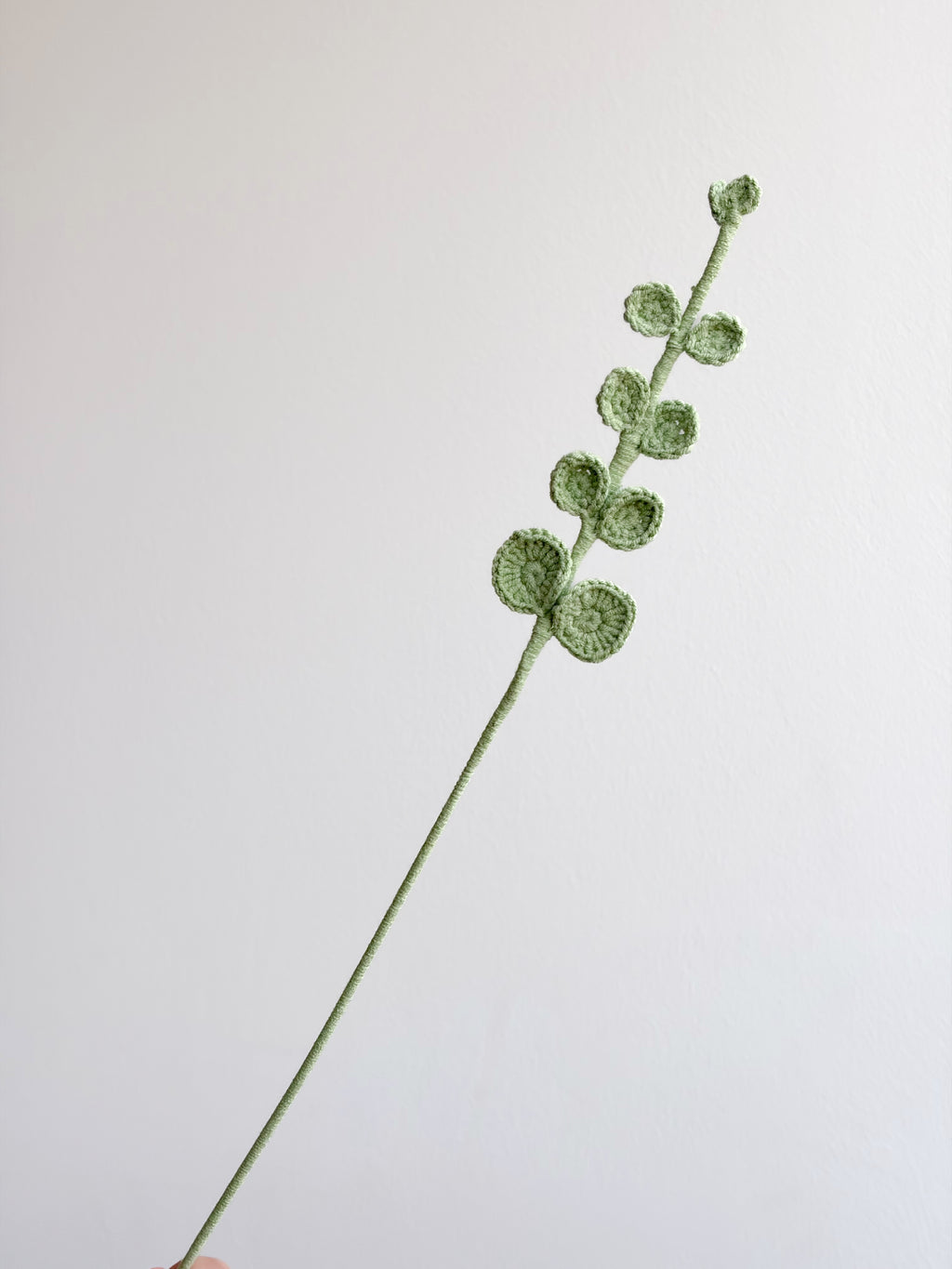 Eukalyptus - Grün