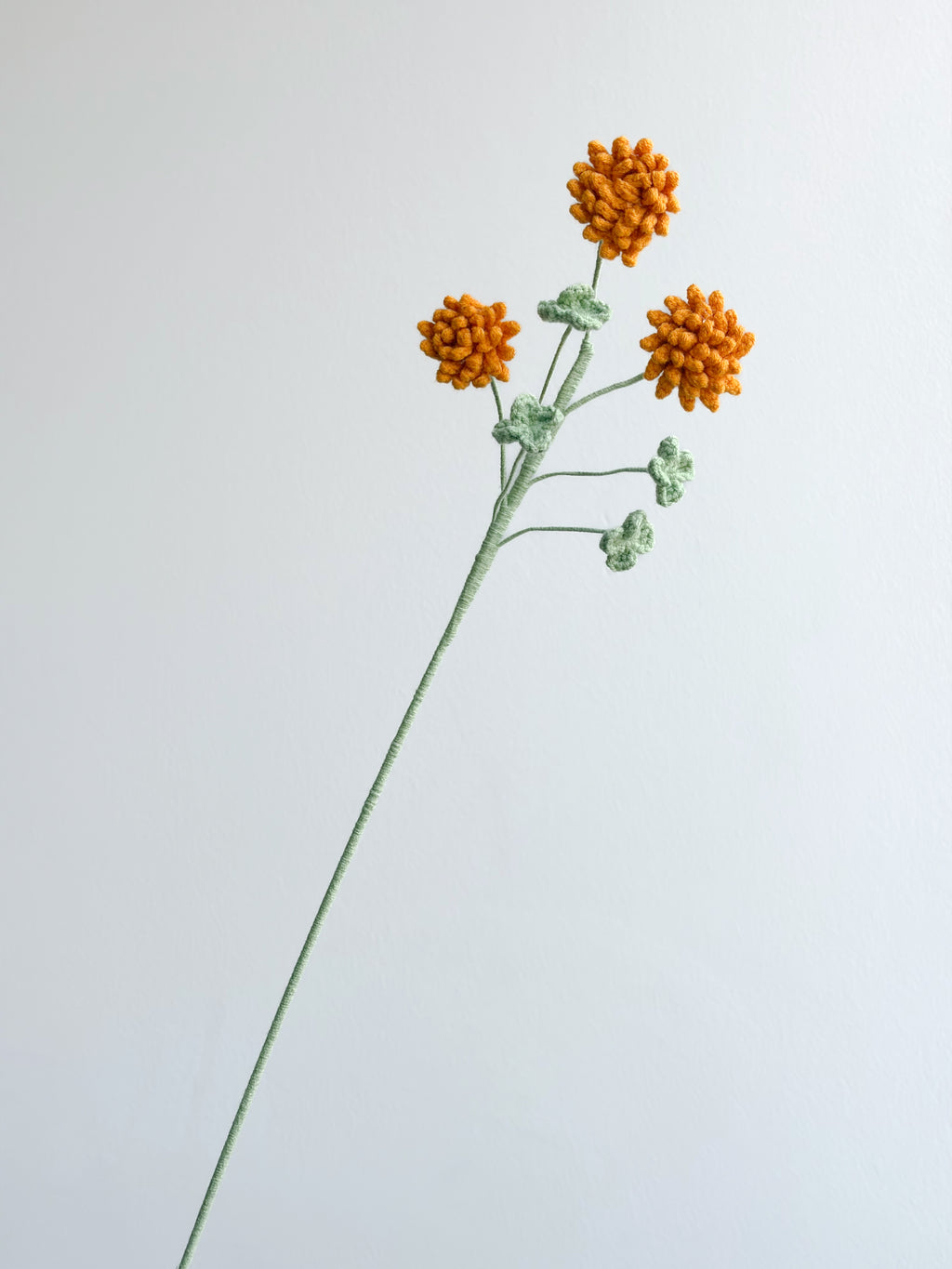 Blühender Klee - Orange