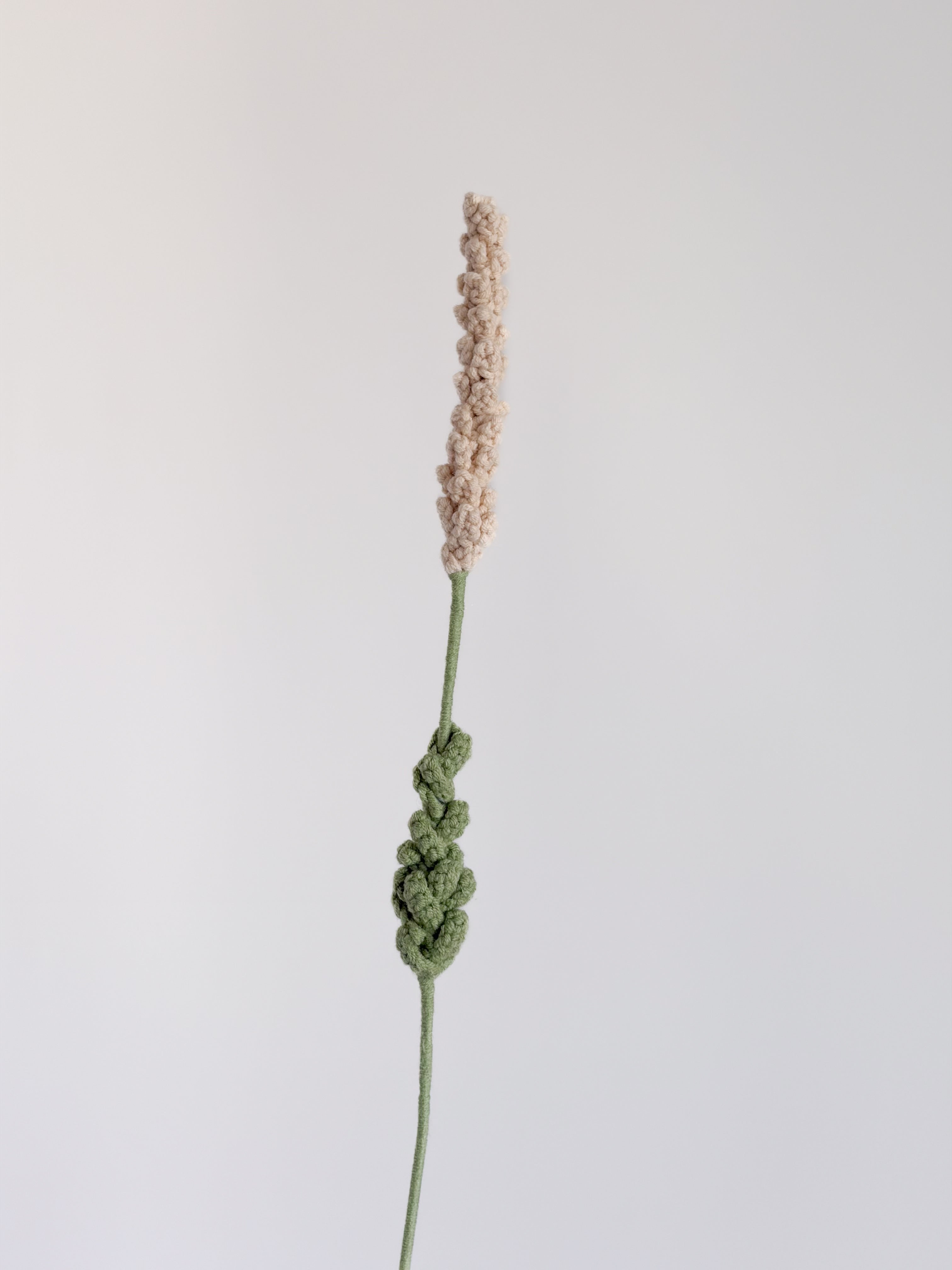 Lavendel - Beige