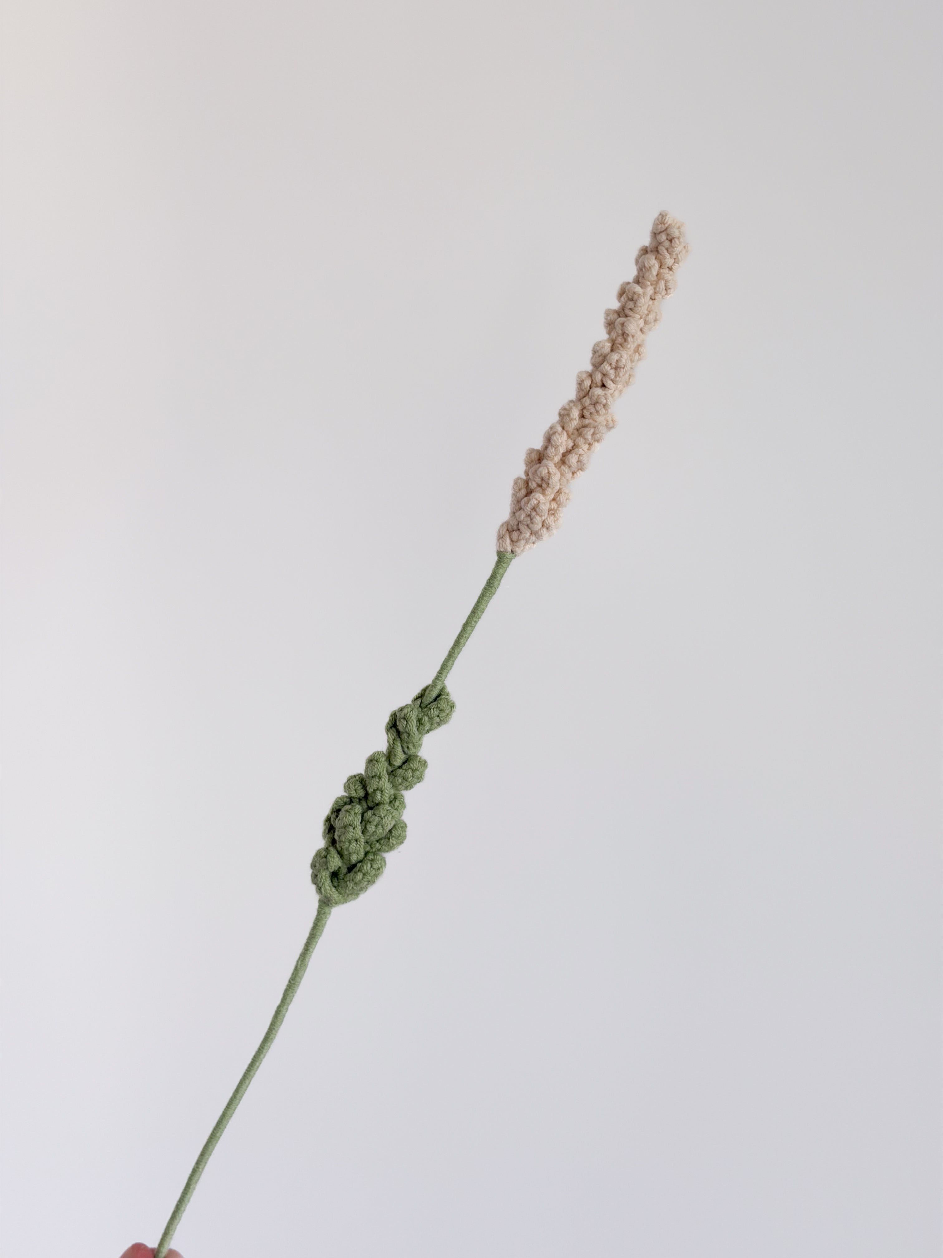 Lavendel - Beige
