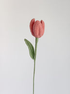 Tulpe - Altrosa