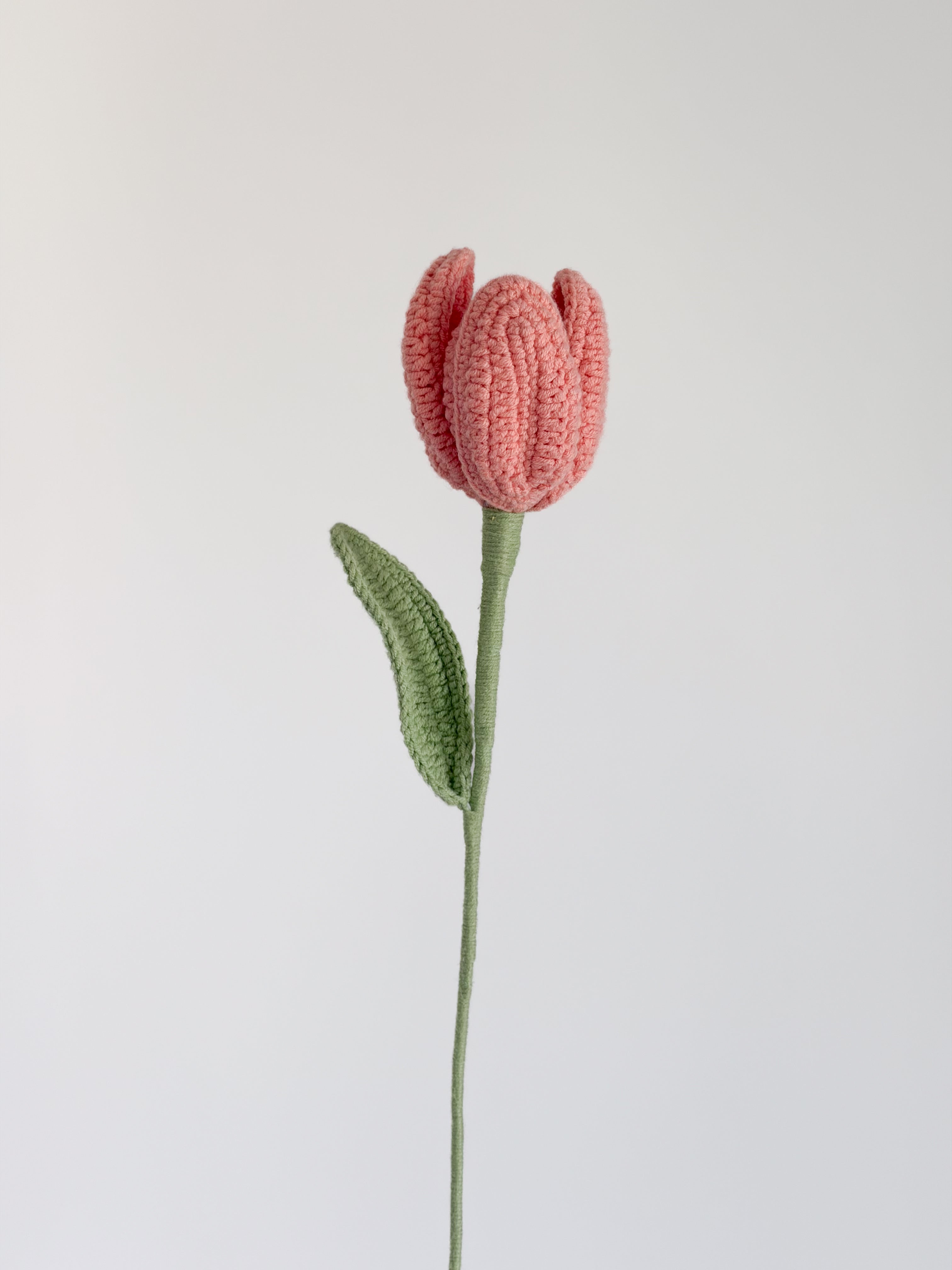 Tulpe - Altrosa