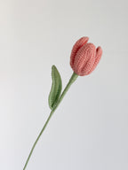 Tulpe - Altrosa