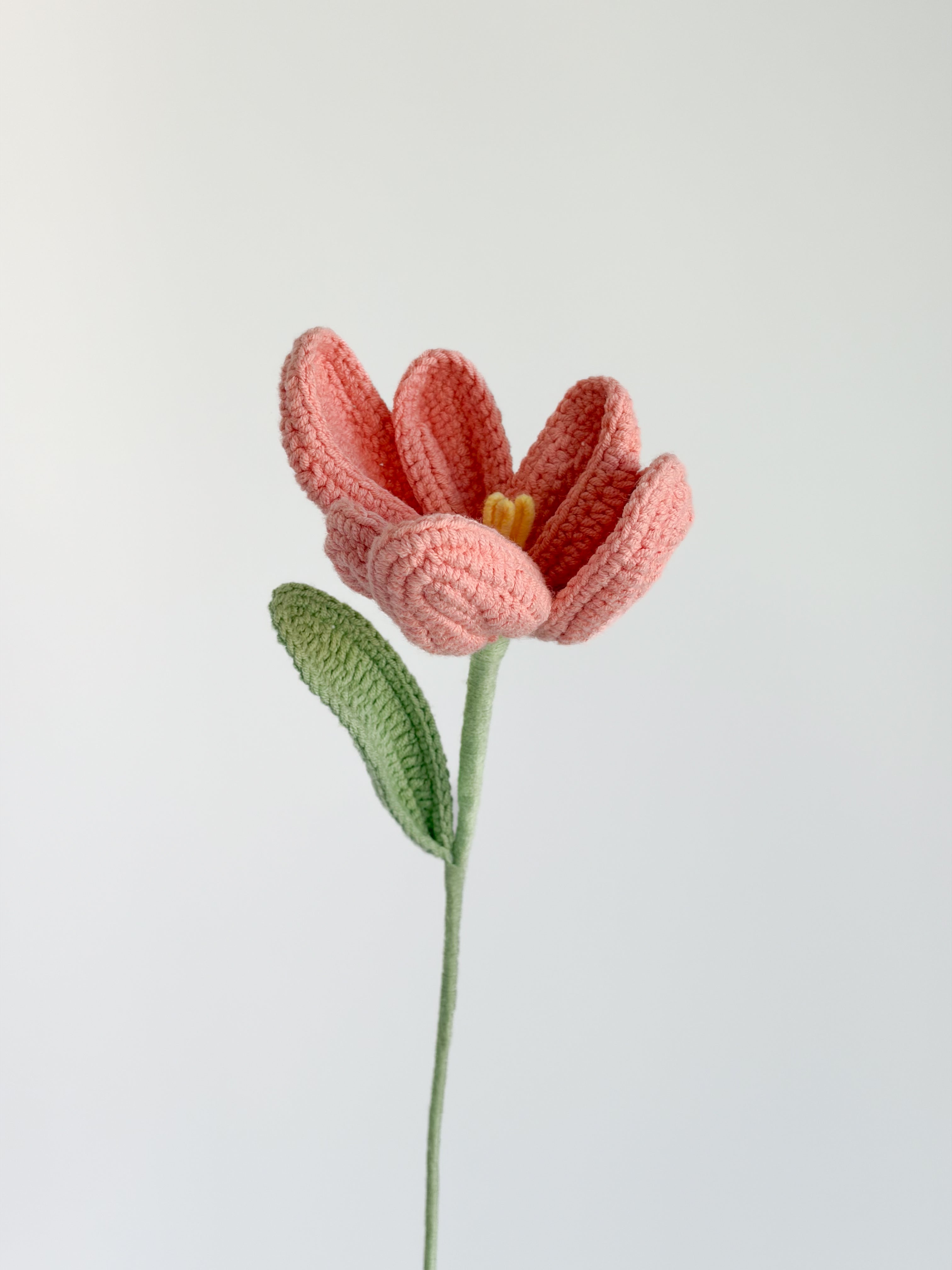 Tulpe - Altrosa
