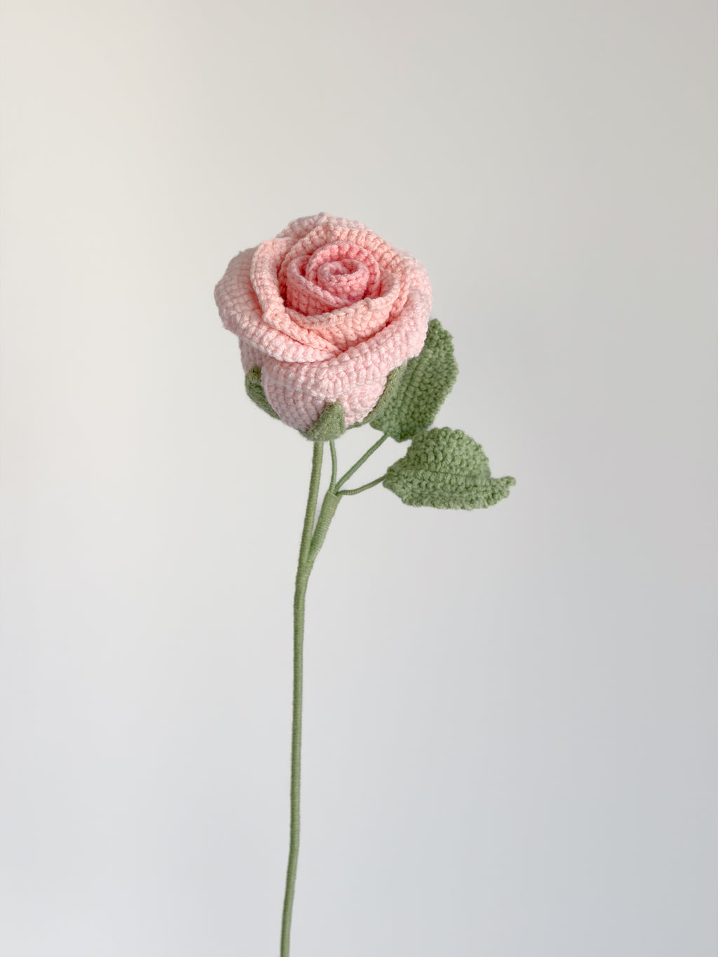 Rose - Rosa