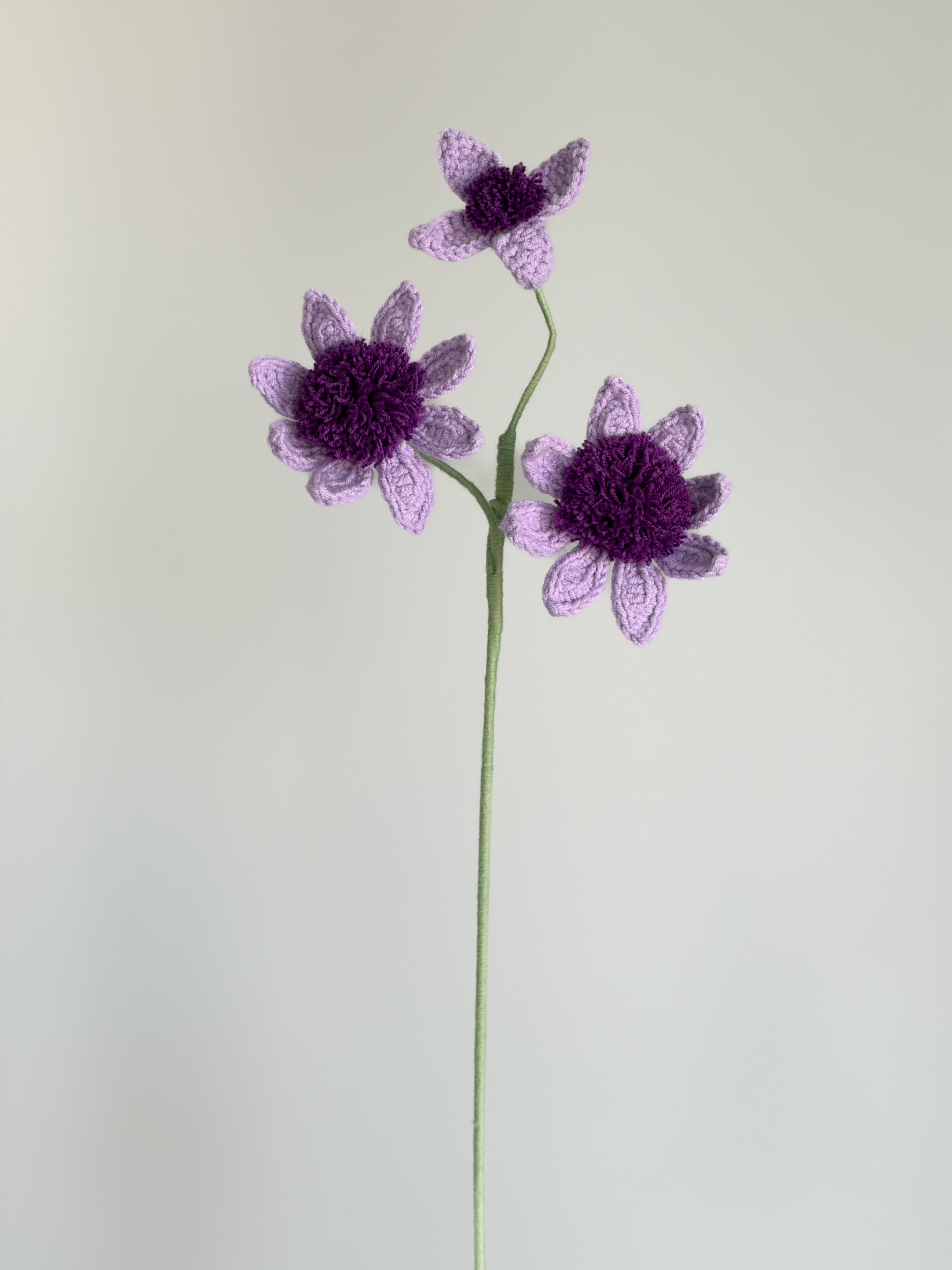Wilde Anemone - Lila