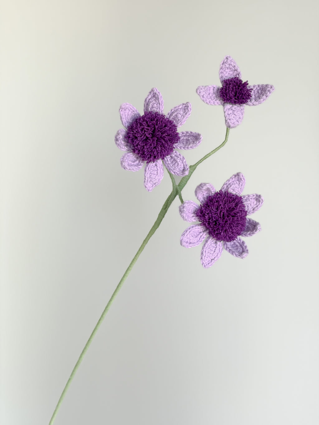 Wilde Anemone - Lila