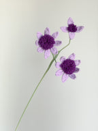 Wilde Anemone - Lila
