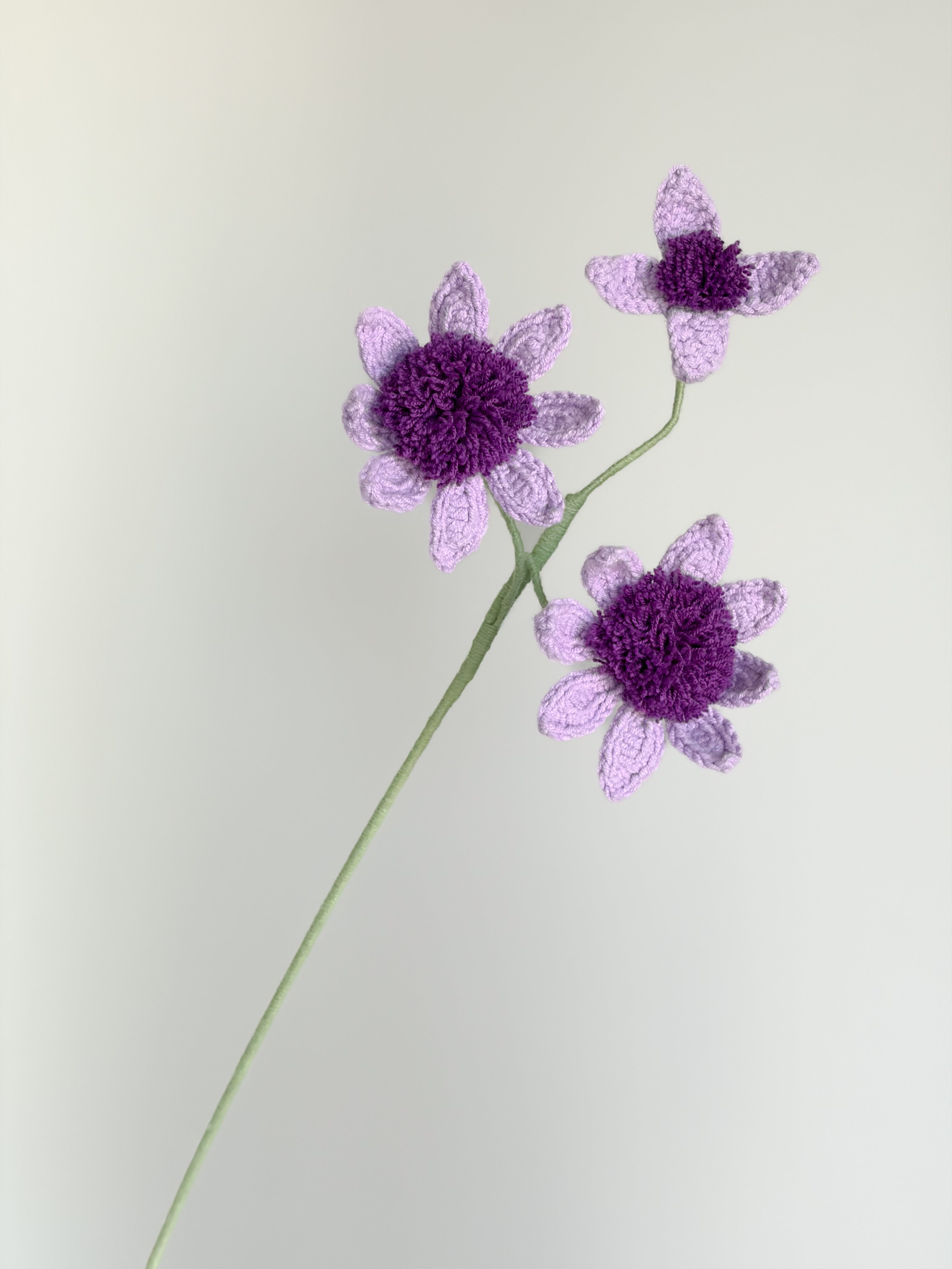 Wilde Anemone - Lila