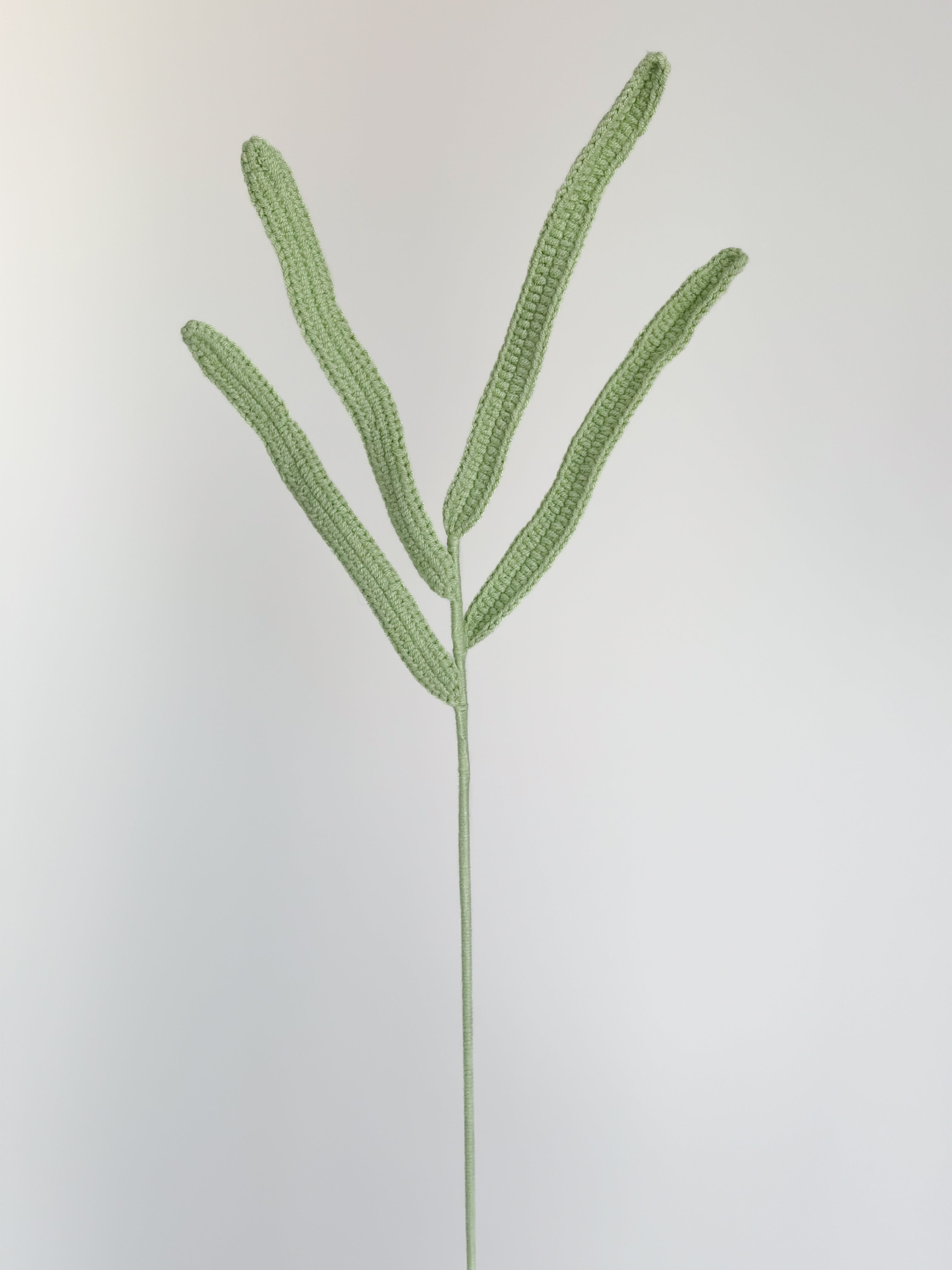 Wildes Gras - Grün