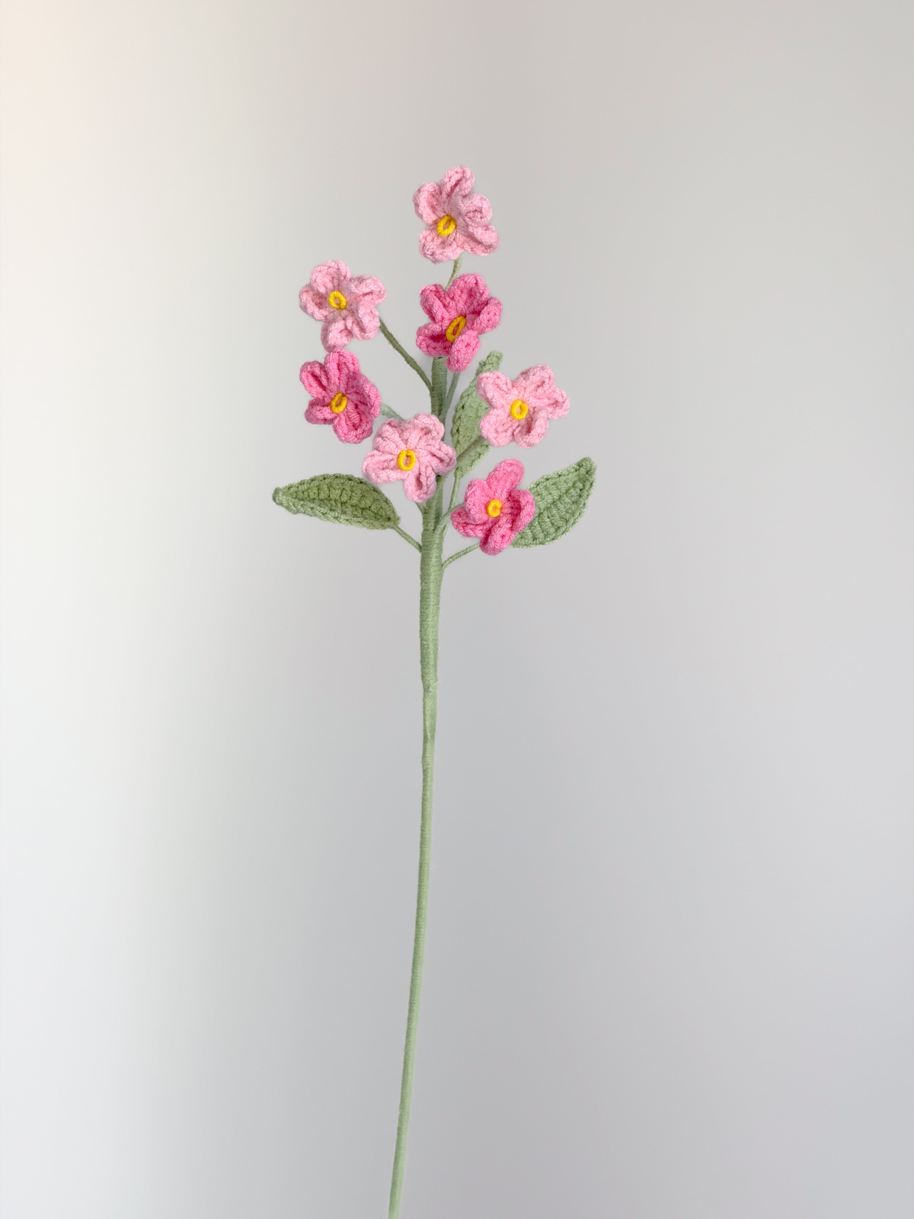 Vergissmeinnicht - Rosa