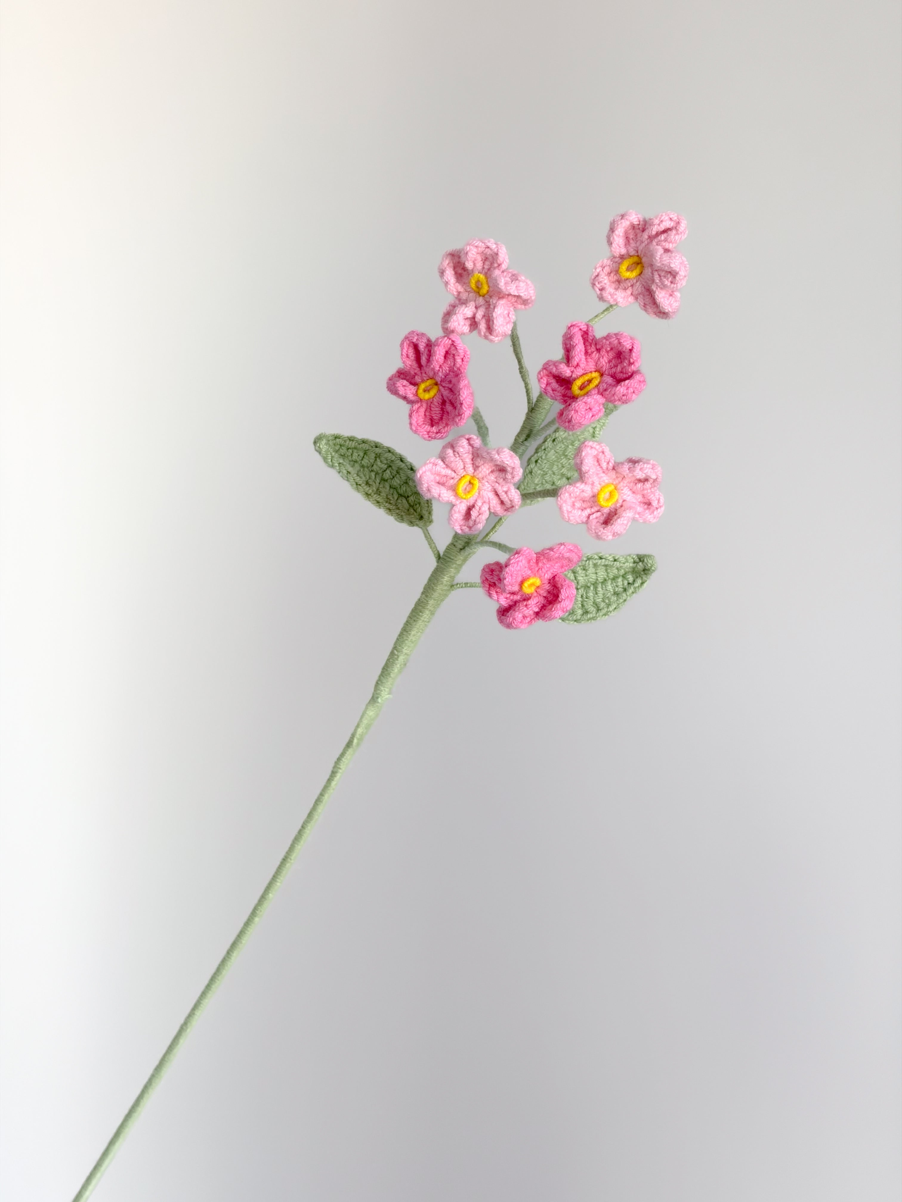 Vergissmeinnicht - Rosa