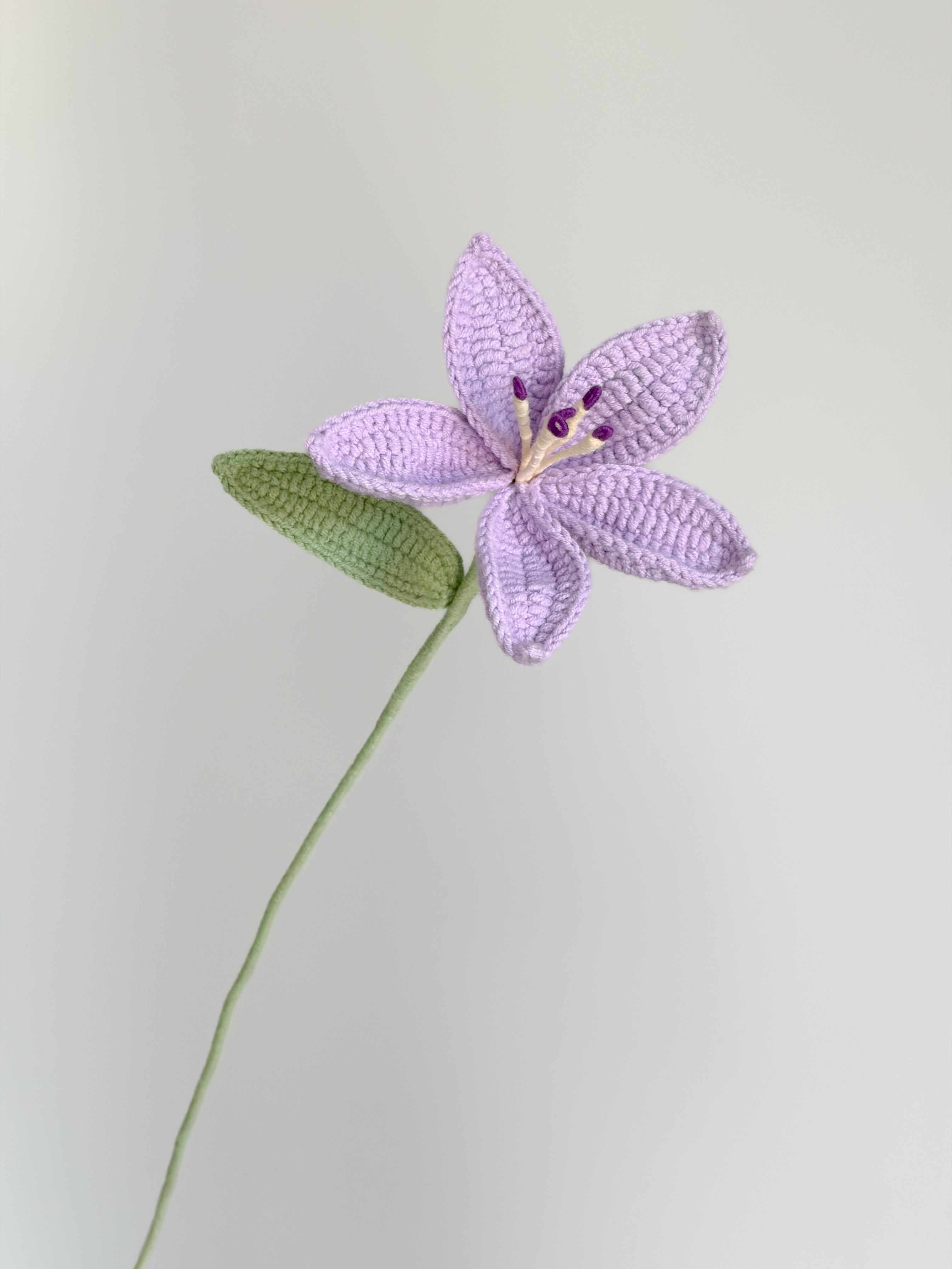 Lilie - Lila