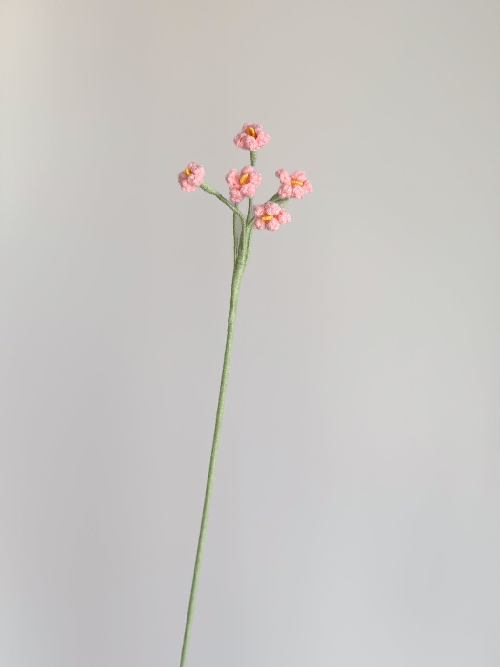 Kleine Vergissmeinnicht - Rosa