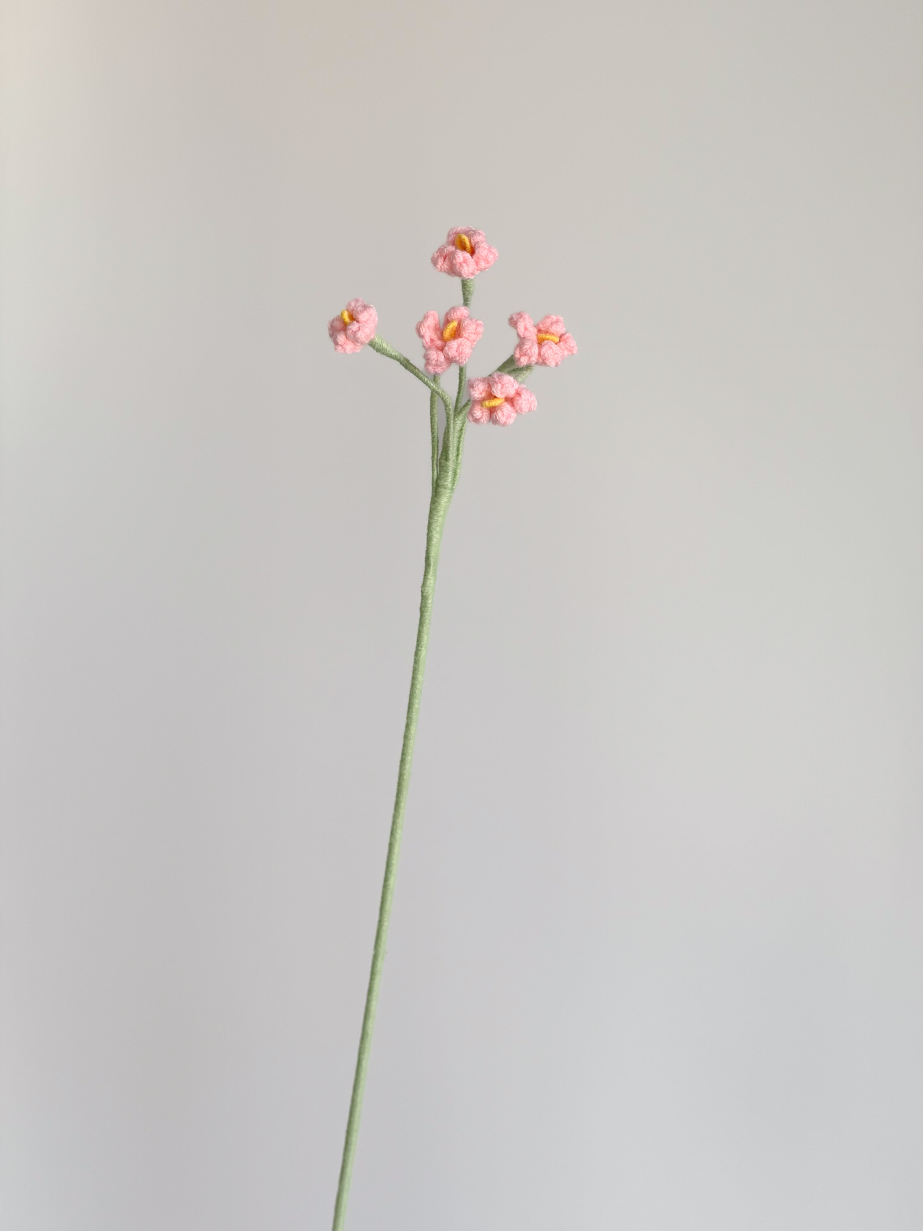 Kleine Vergissmeinnicht - Rosa