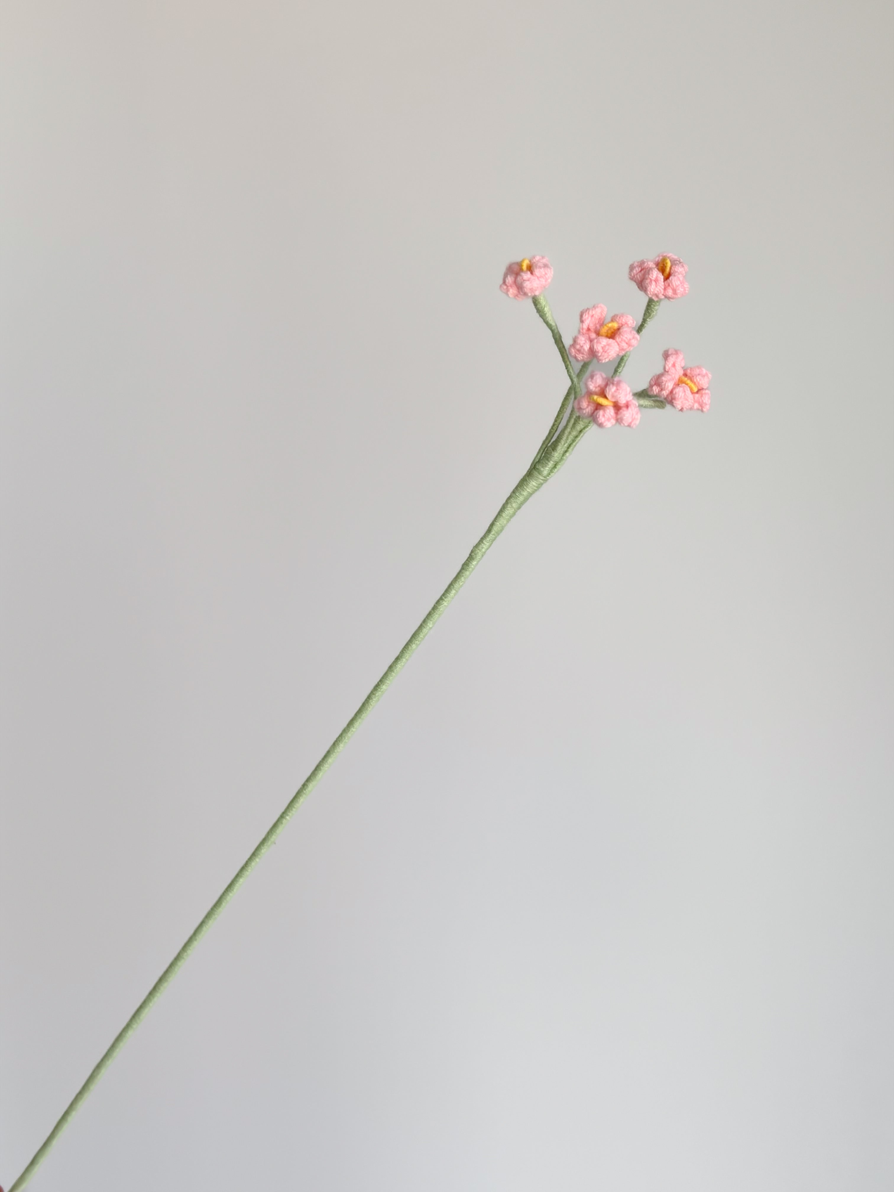 Kleine Vergissmeinnicht - Rosa