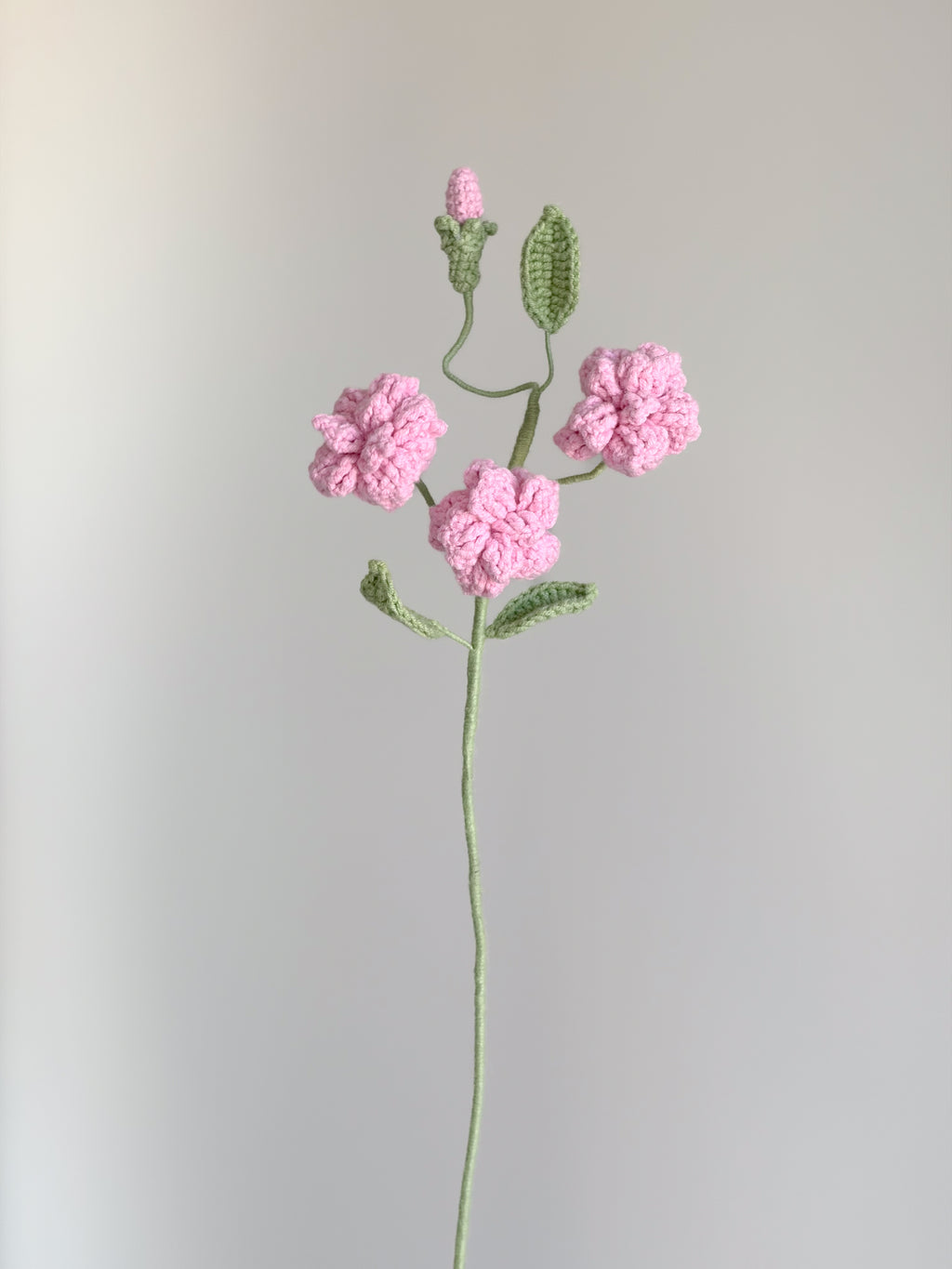 Kleine Wildrose - Rosa