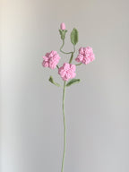 Kleine Wildrose - Rosa