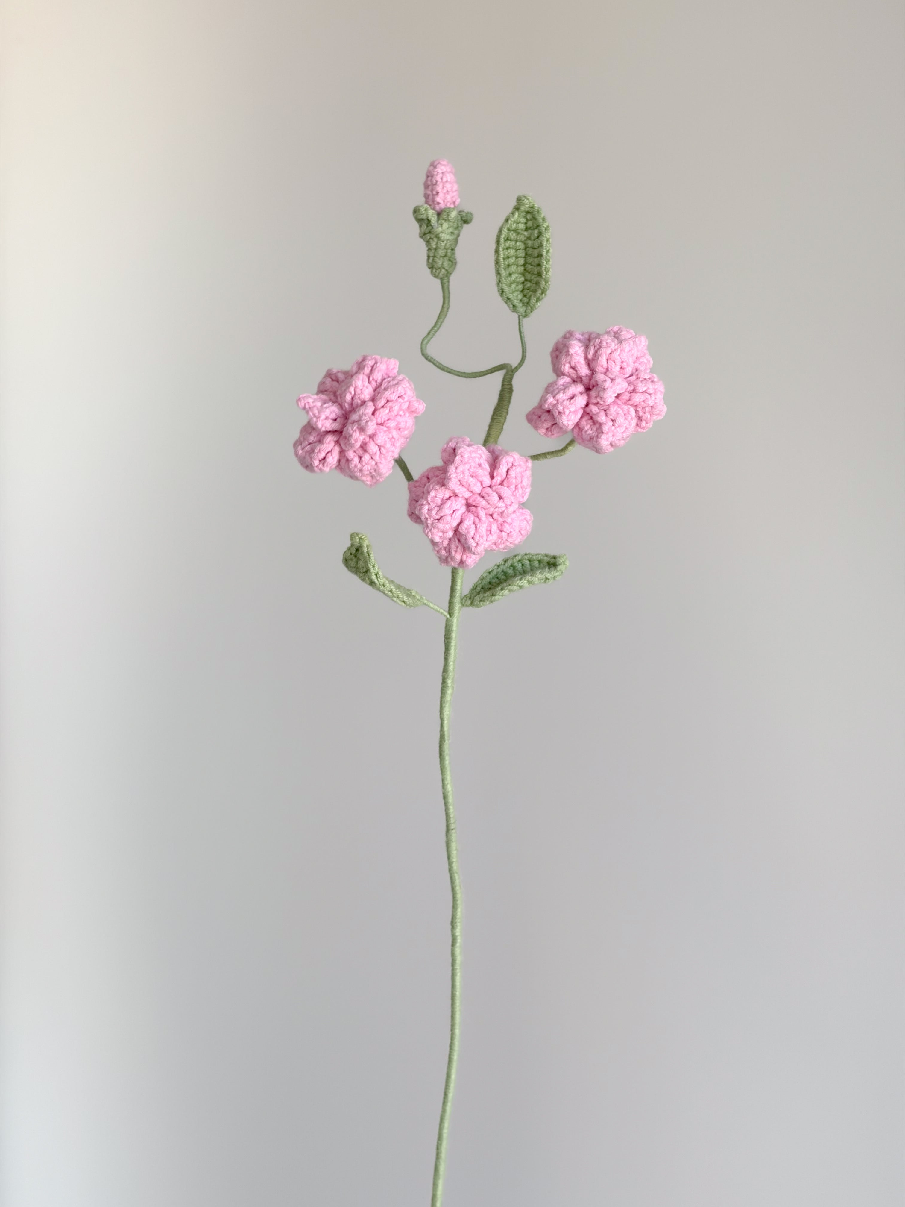 Kleine Wildrose - Rosa