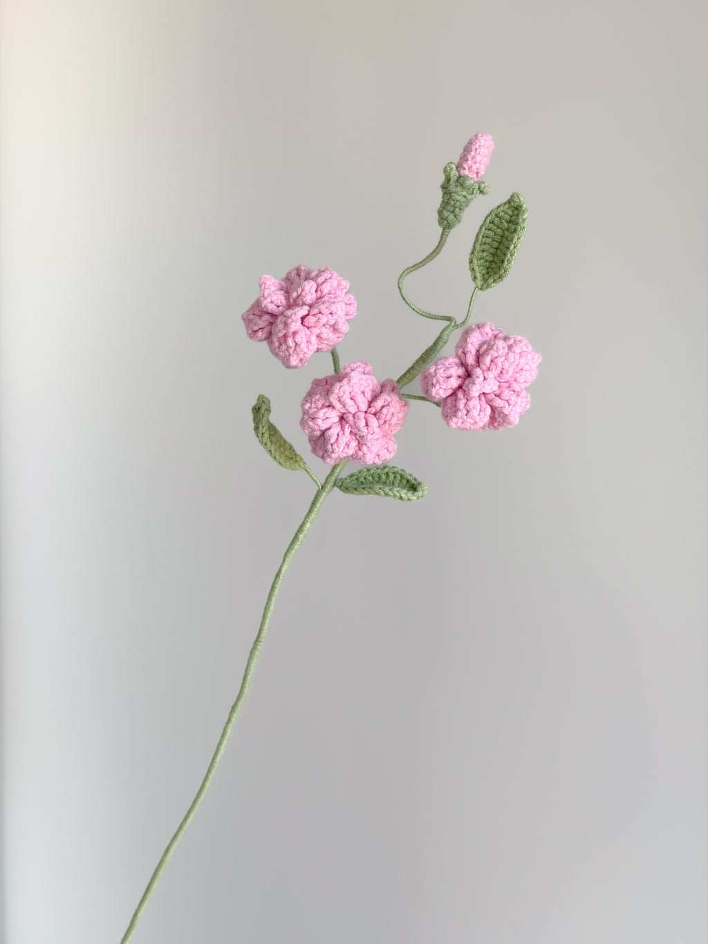 Kleine Wildrose - Rosa