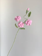 Kleine Wildrose - Rosa