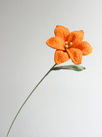 Lilie - Orange