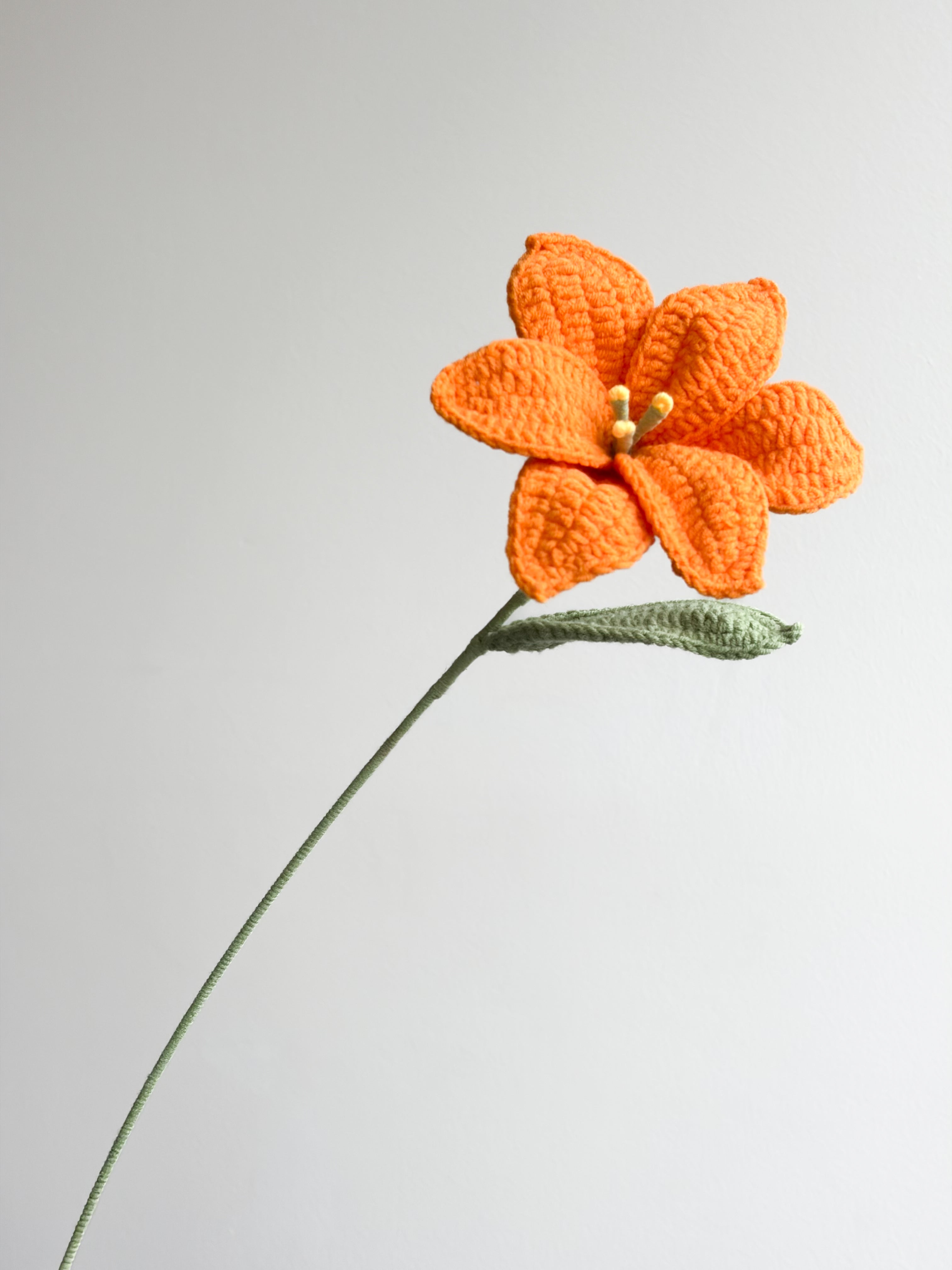 Lilie - Orange