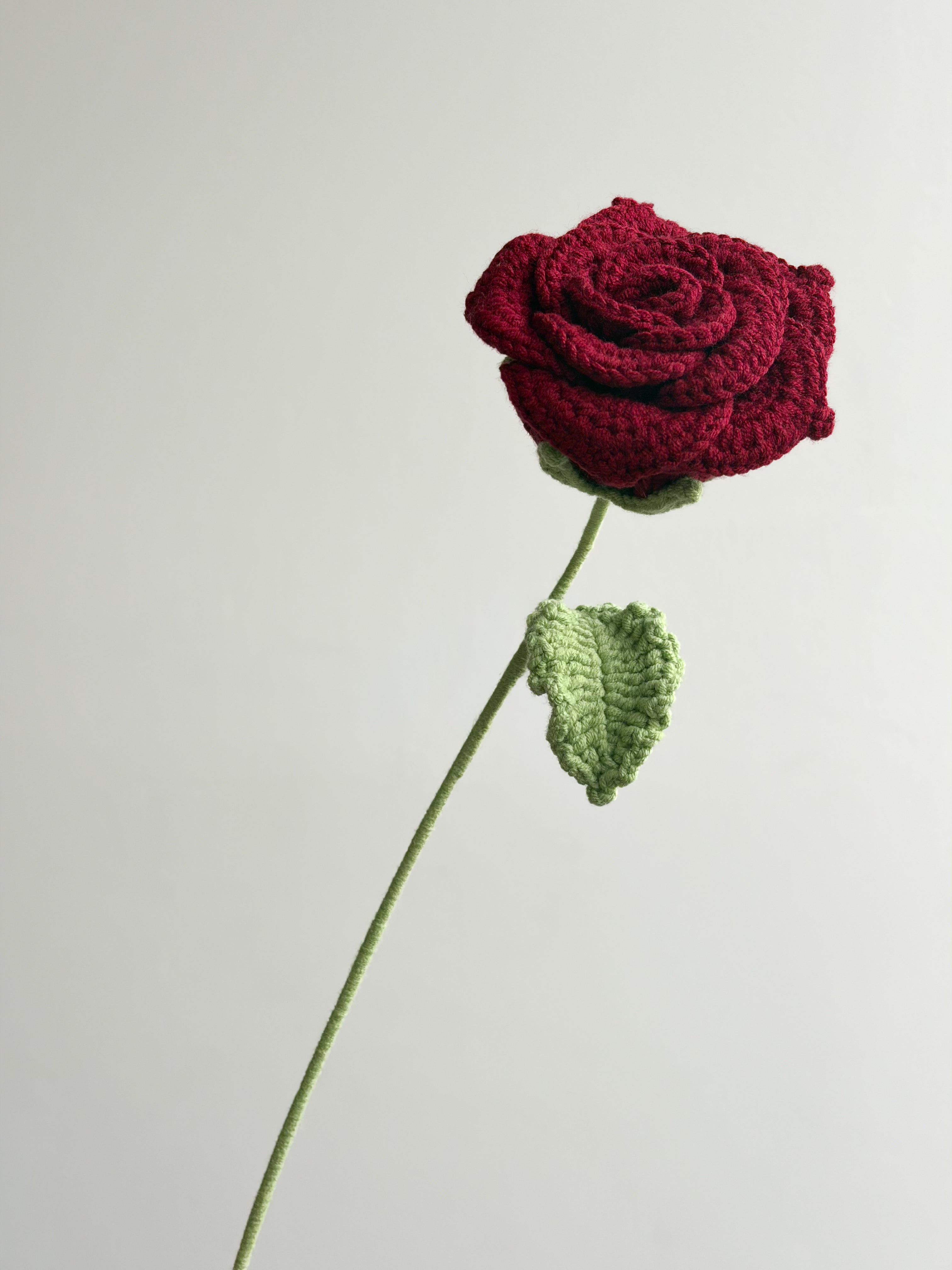 Rose - Dunkelrot