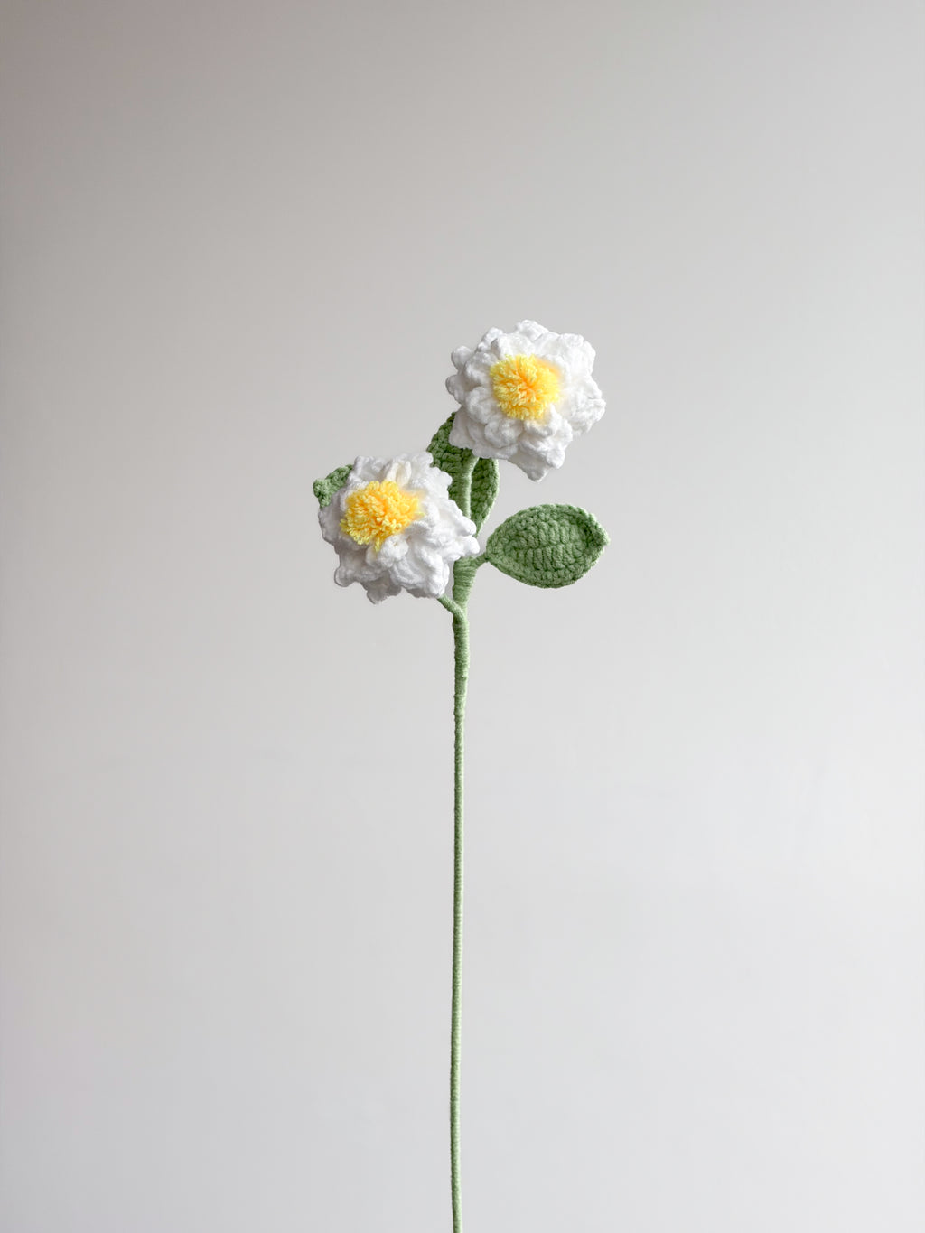 Gardenia - Weiß