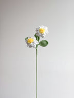Gardenia - Weiß