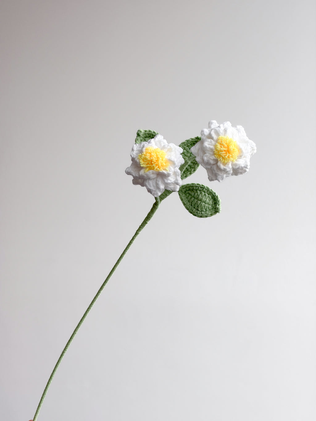 Gardenia - Weiß