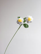 Gardenia - Weiß
