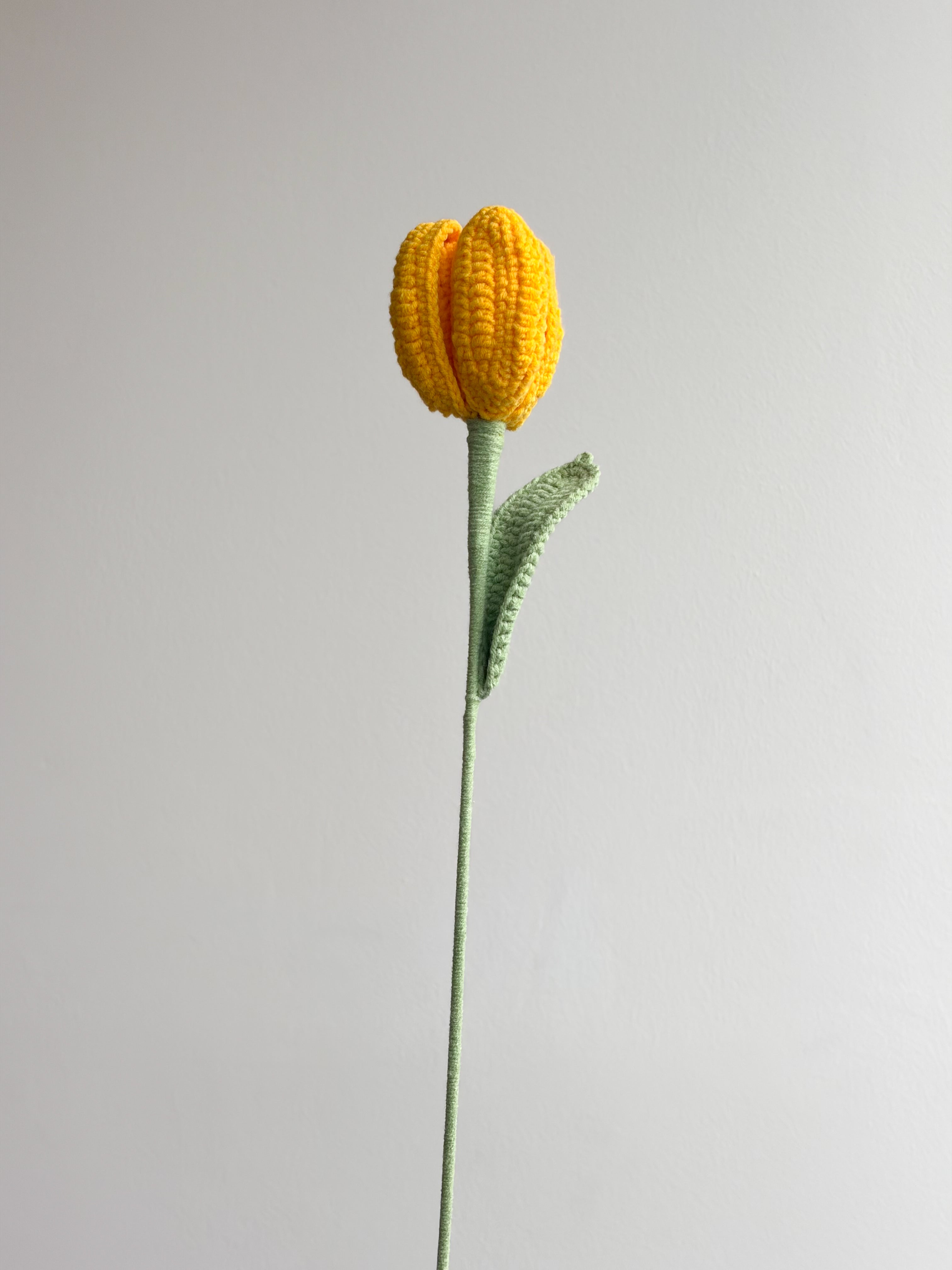 Tulpe - Gelb
